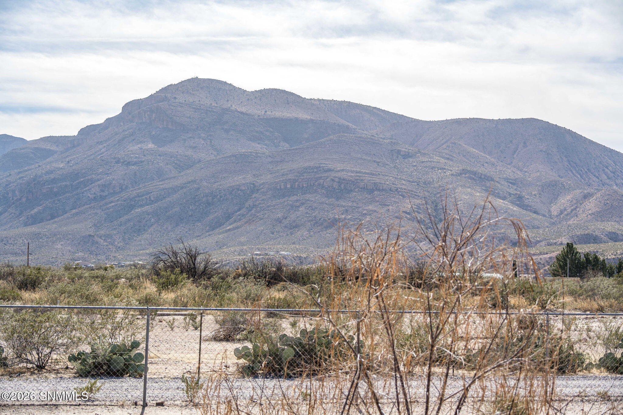 47-web-or-mls-Snappin Homes (Carr12290)-