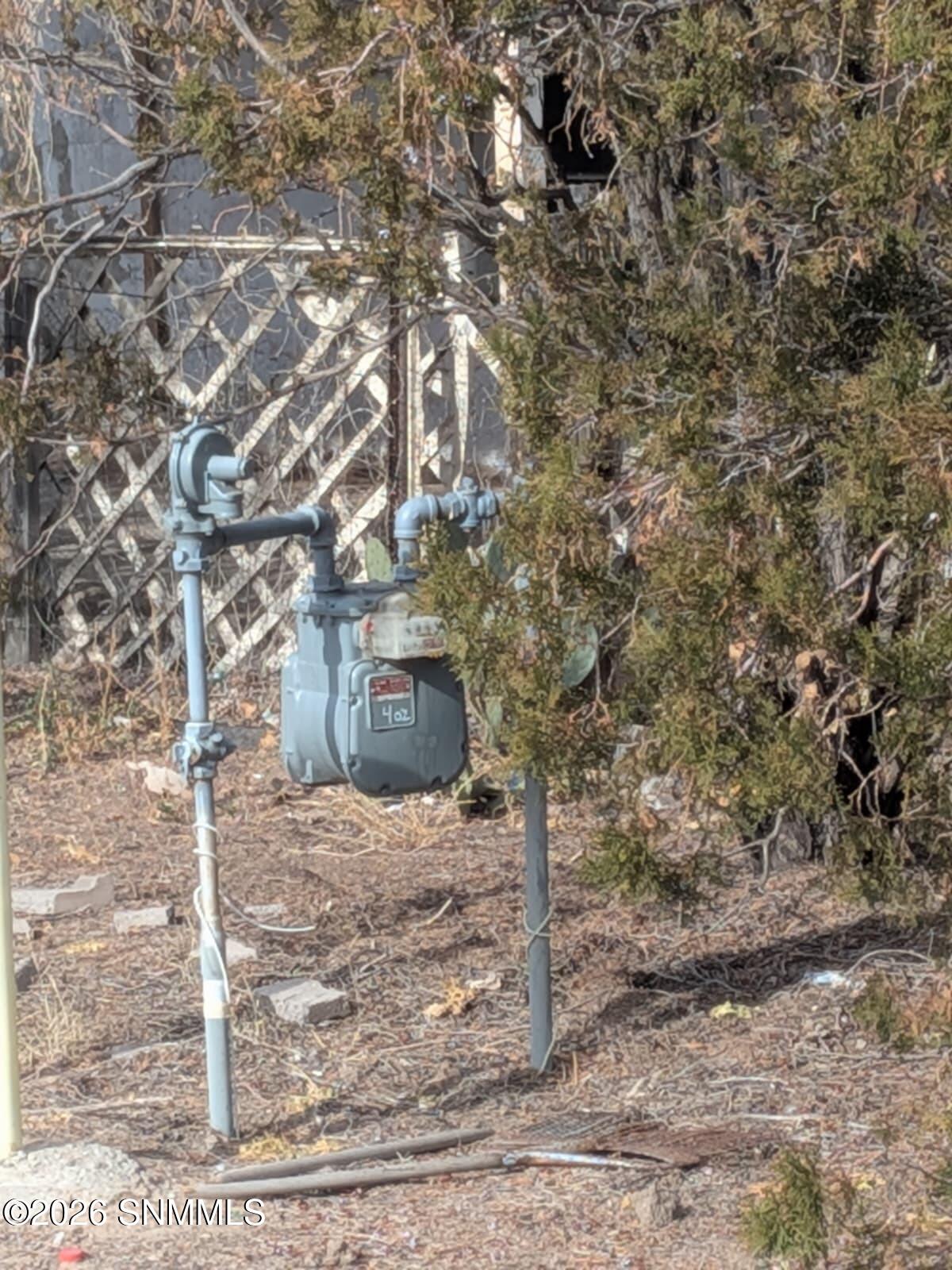 WhatsApp Image 2026-01-23 at 10.31.22 AM