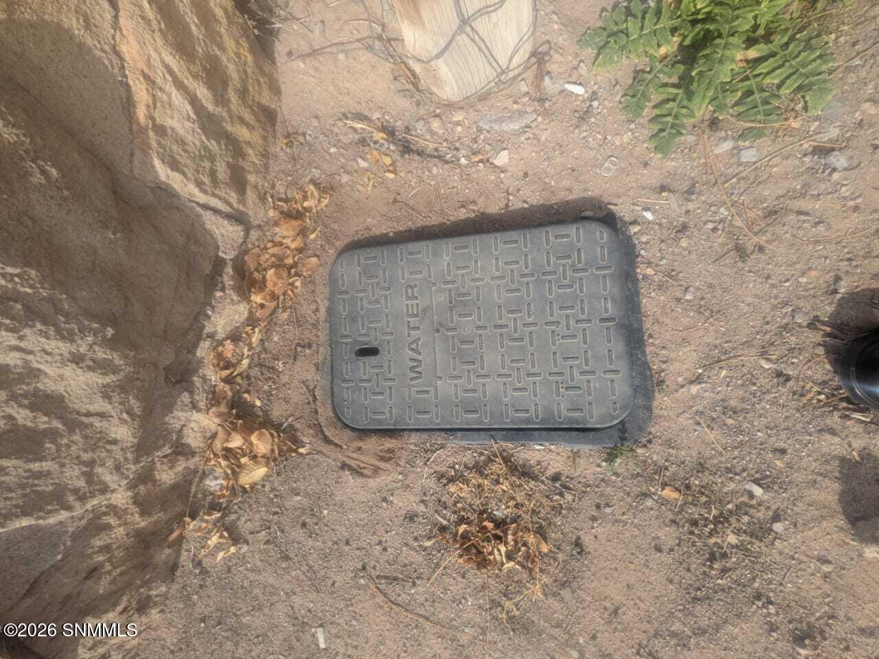 WhatsApp Image 2026-01-23 at 10.31.21 AM