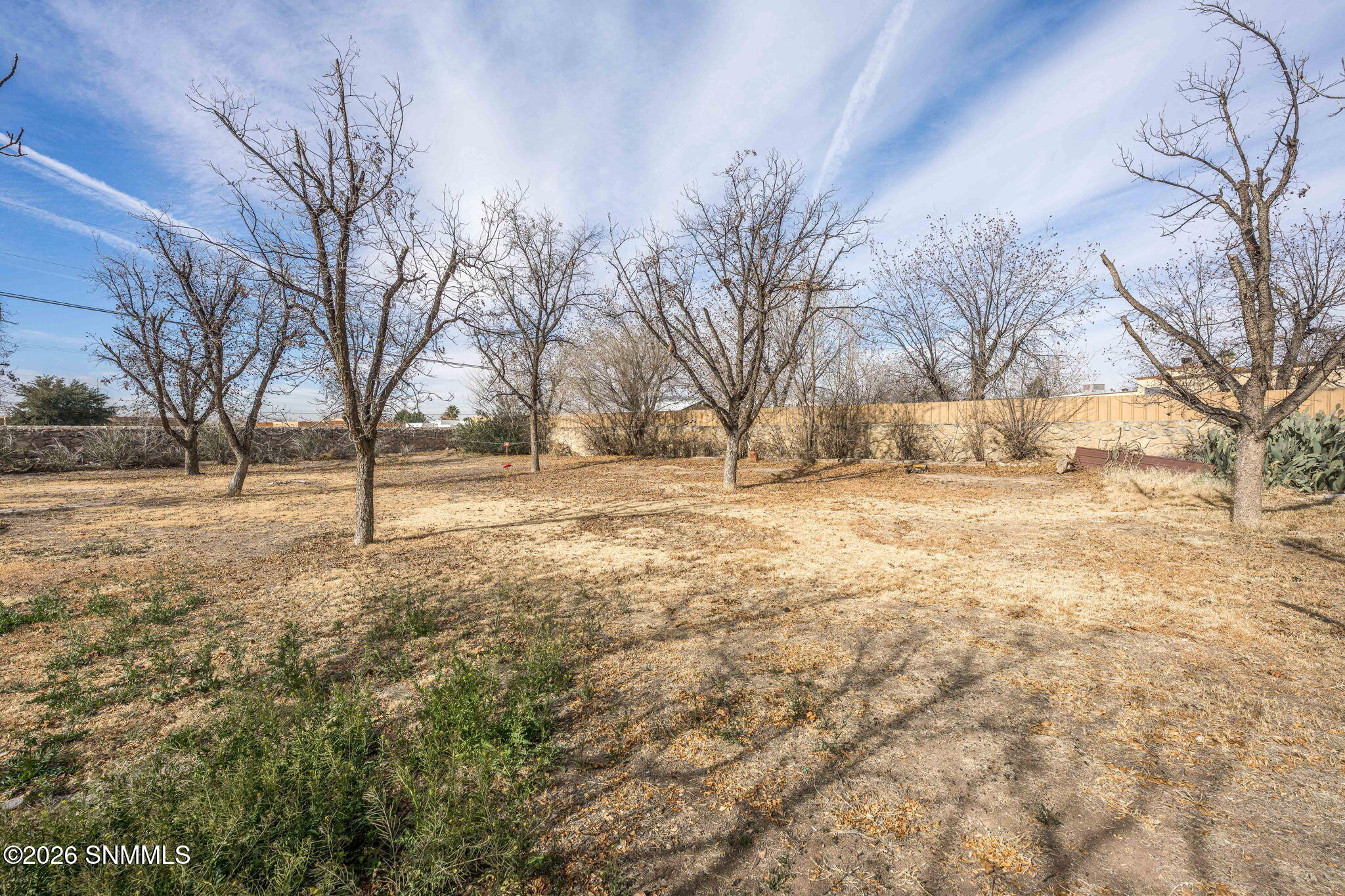 38-web-or-mls-Snappin Homes (LosNogales1