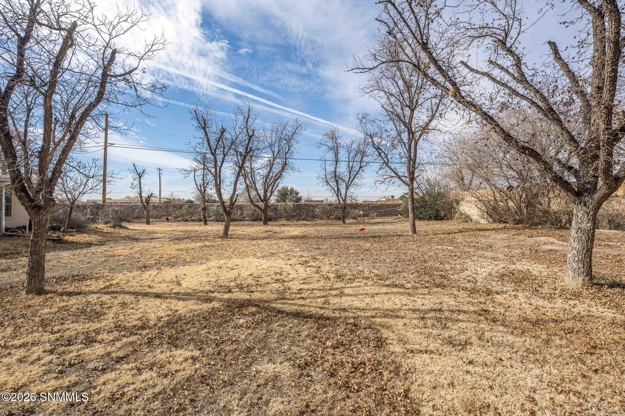 40-web-or-mls-Snappin Homes (LosNogales1