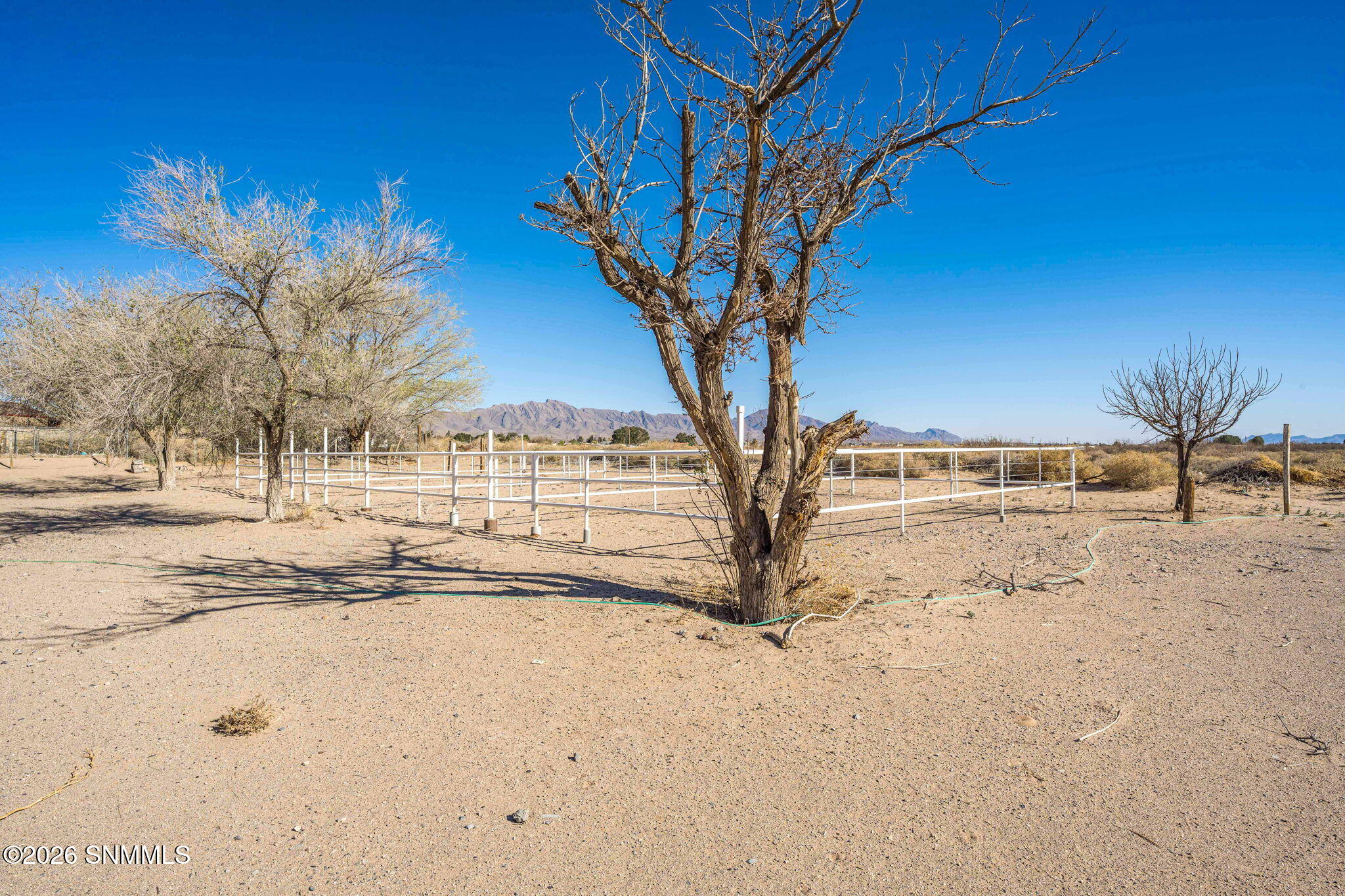 56-web-or-mls-Snappin Homes (Ohara370)-5