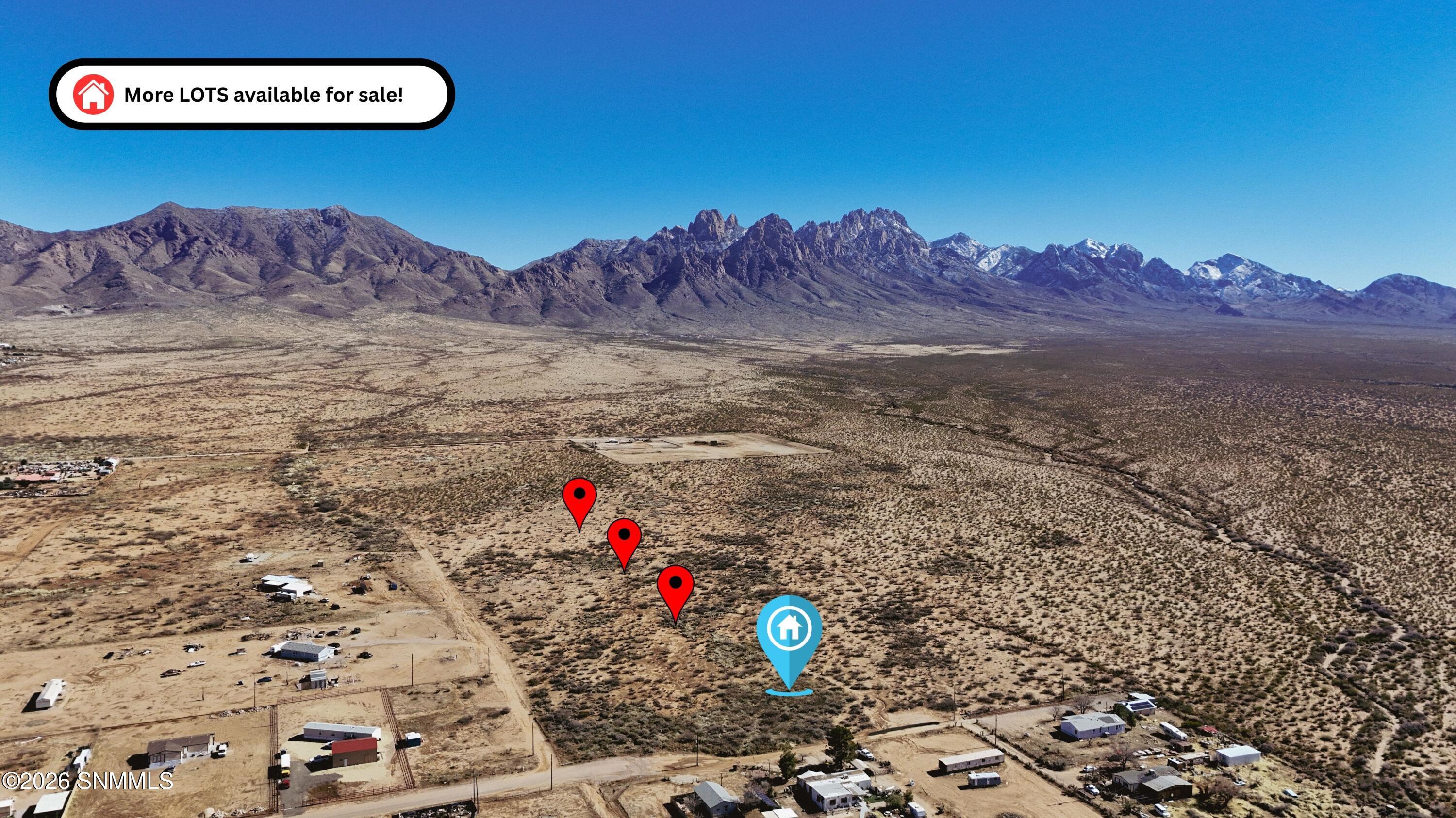 Photo Jan 28 2026, 2 49 37 PM