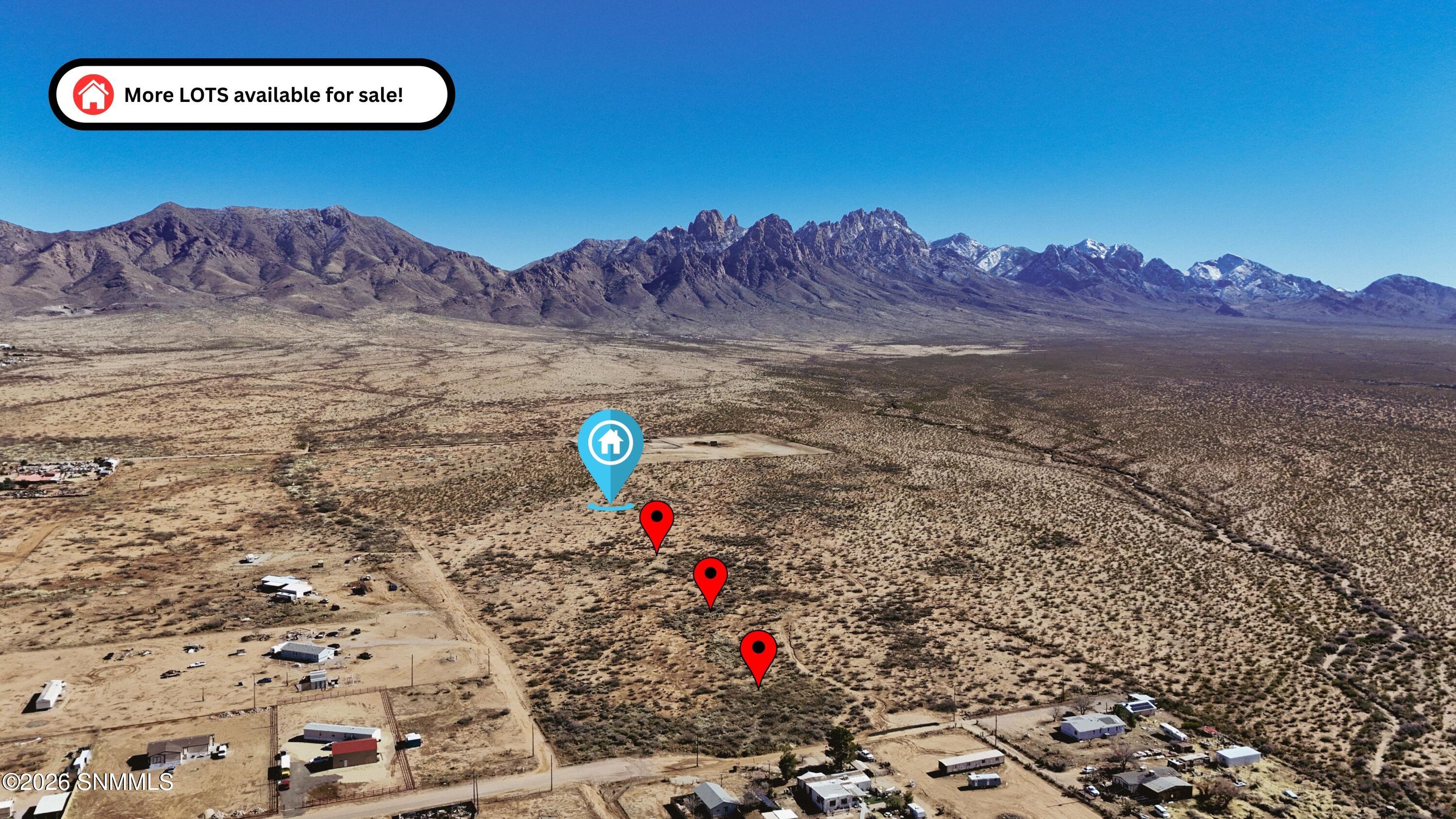 Photo Jan 28 2026, 2 37 36 PM (7)