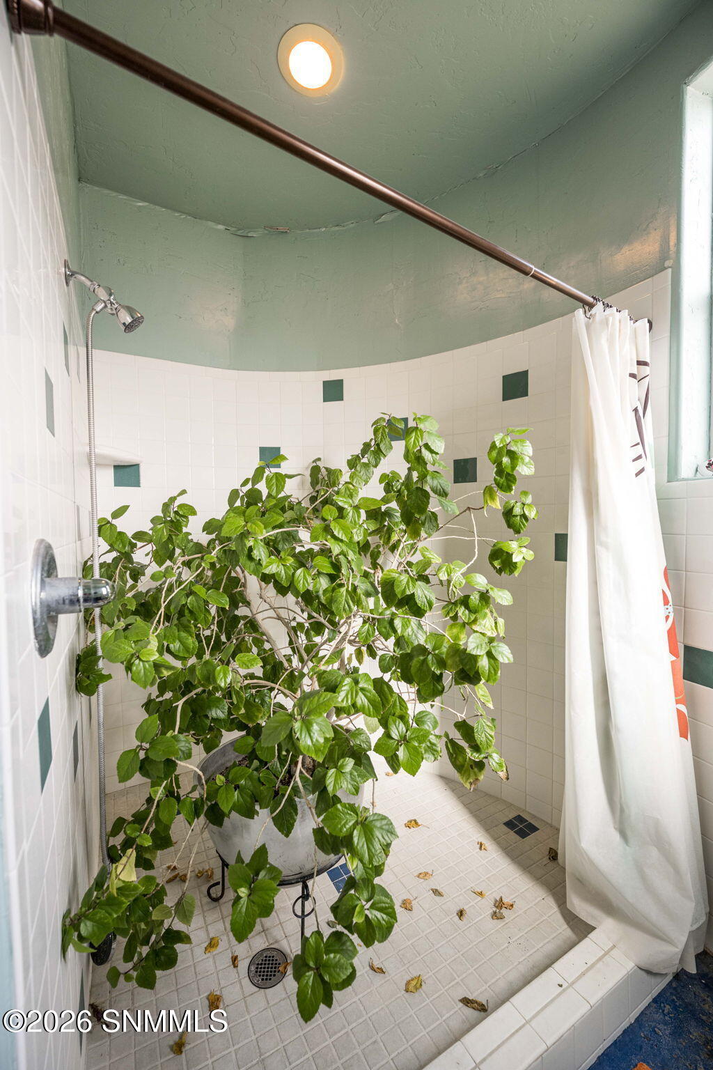 45-web-or-mls-Snappin Homes (DustyPrints