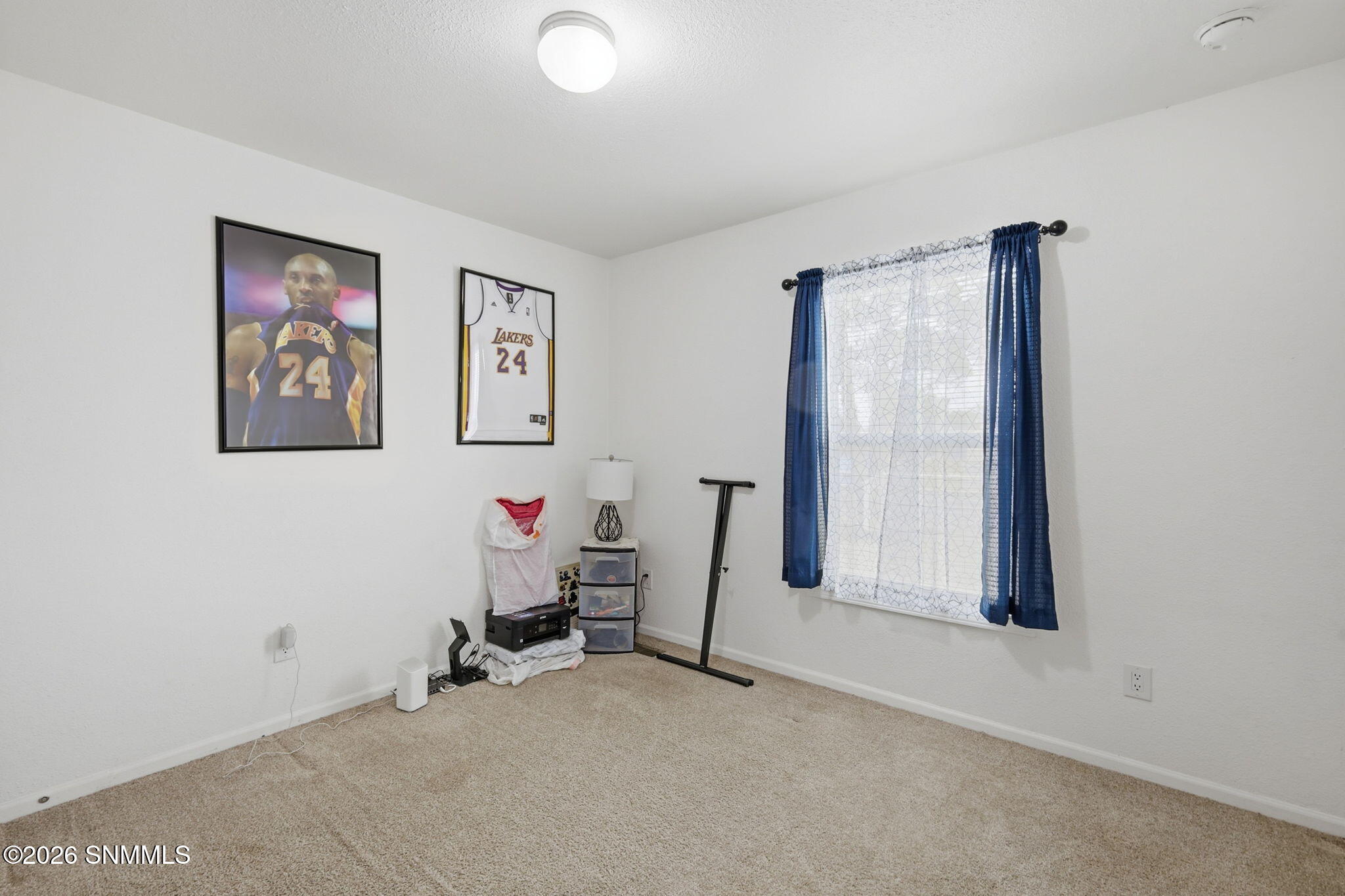 33-web-or-mls-IMG_1169