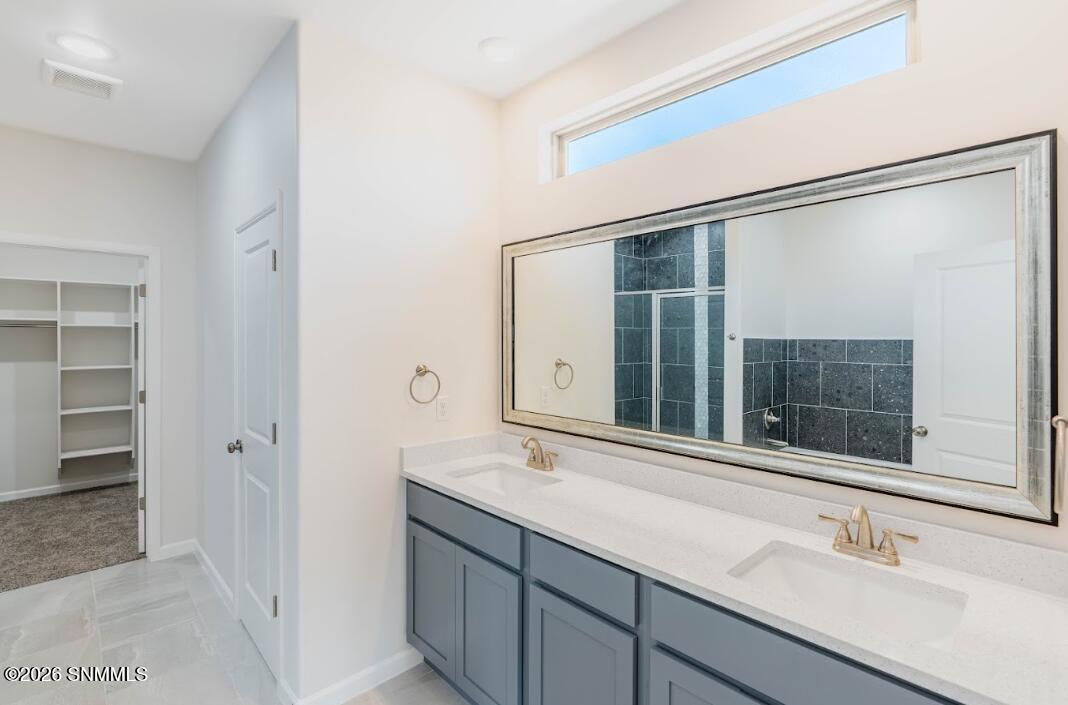 Owner's Bath