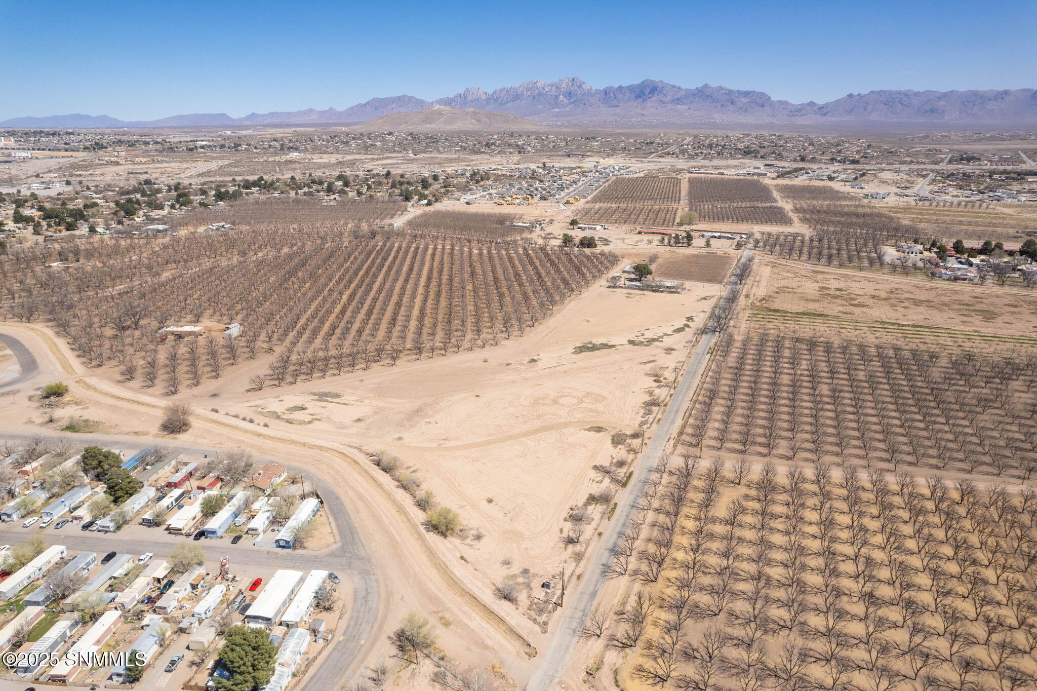 3-web-or-mls- (HolyCrossLots)-3