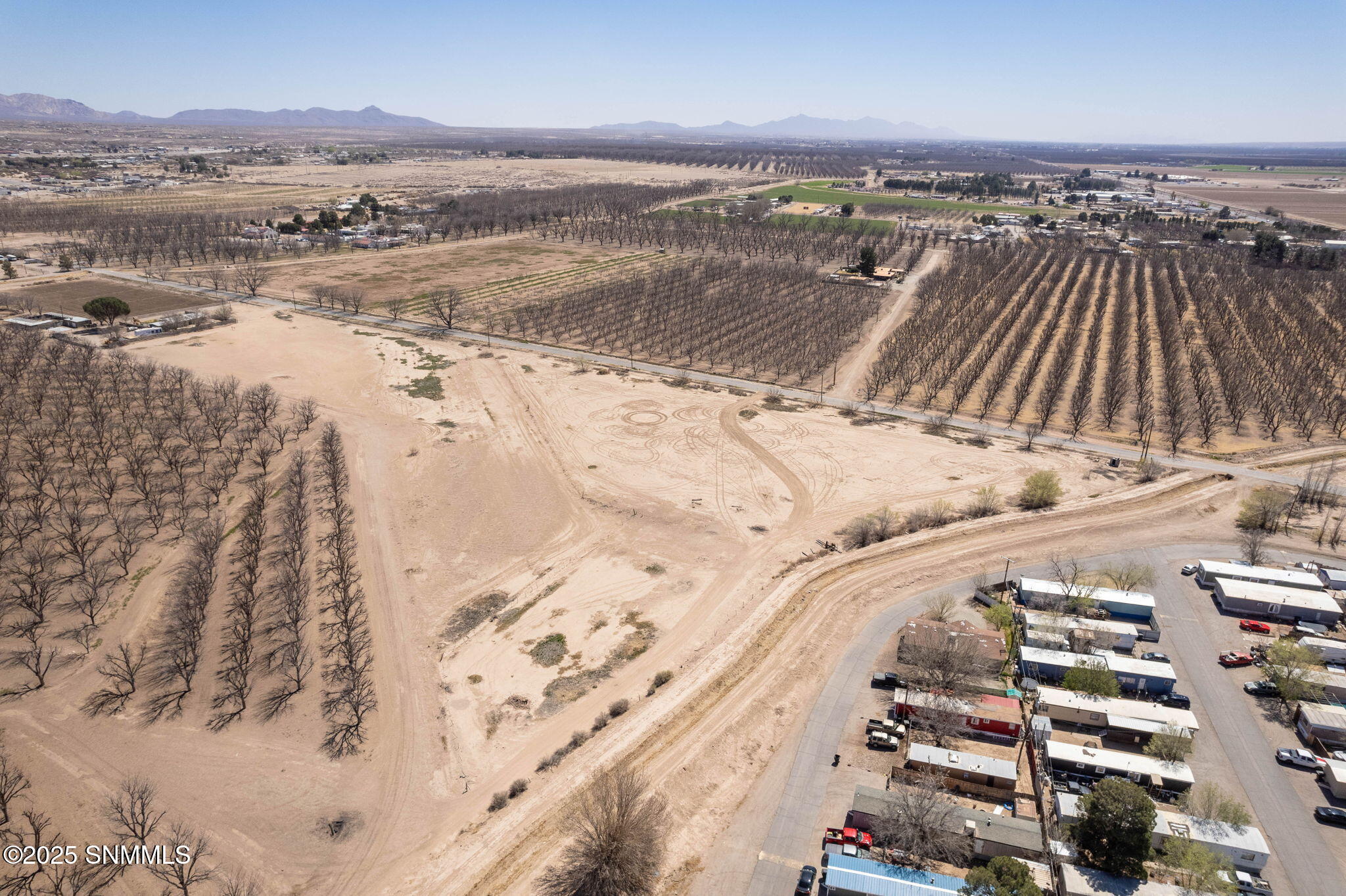 8-web-or-mls- (HolyCrossLots)-8