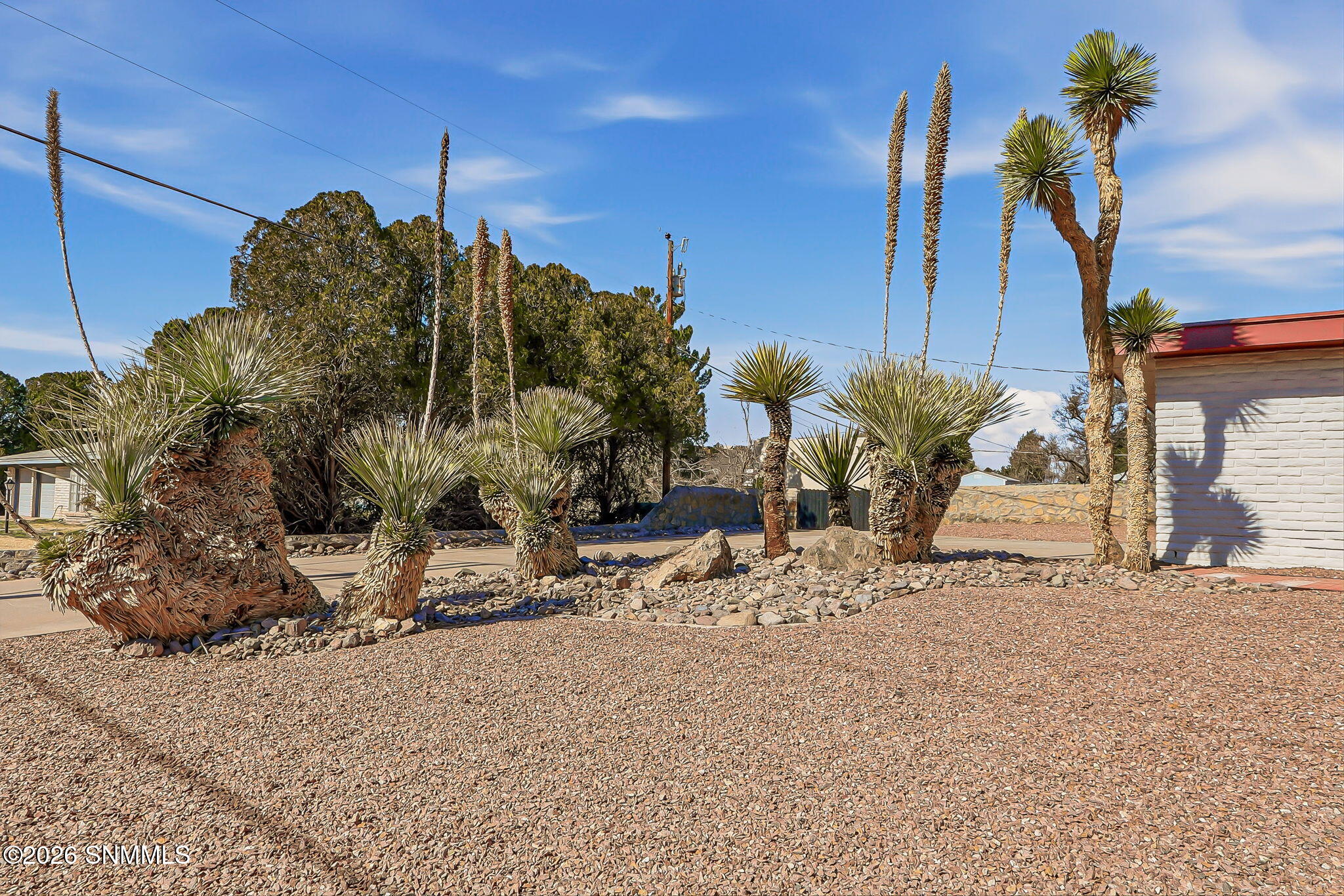 61-web-or-mls-IMG_9612