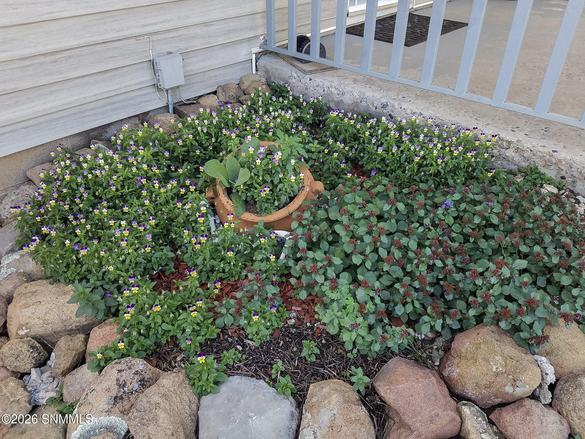 46-IMG_20260209_122931