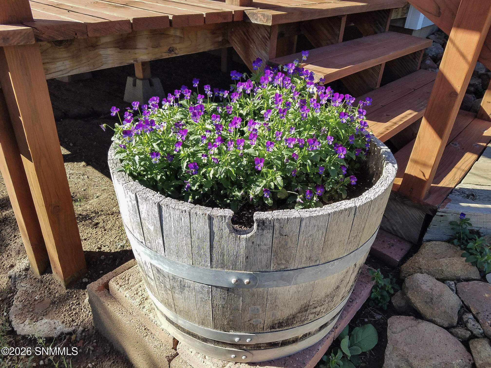 47-IMG_20260209_122941