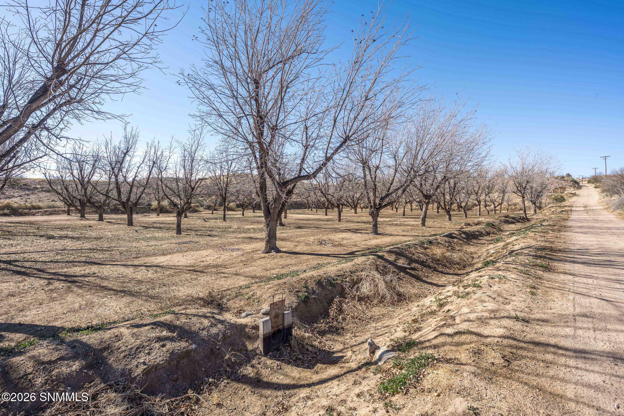 32-web-or-mls-Snappin Homes (Squirrel201