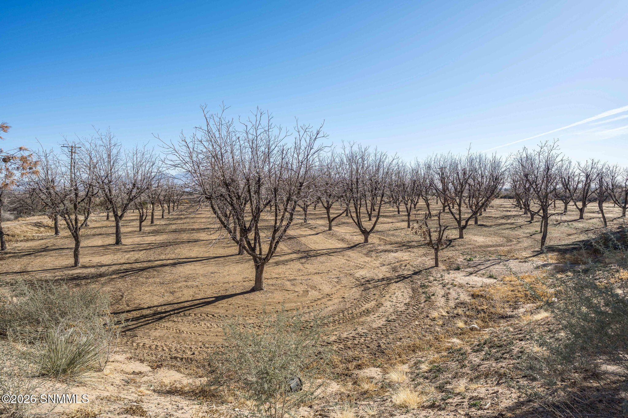 34-web-or-mls-Snappin Homes (Squirrel201