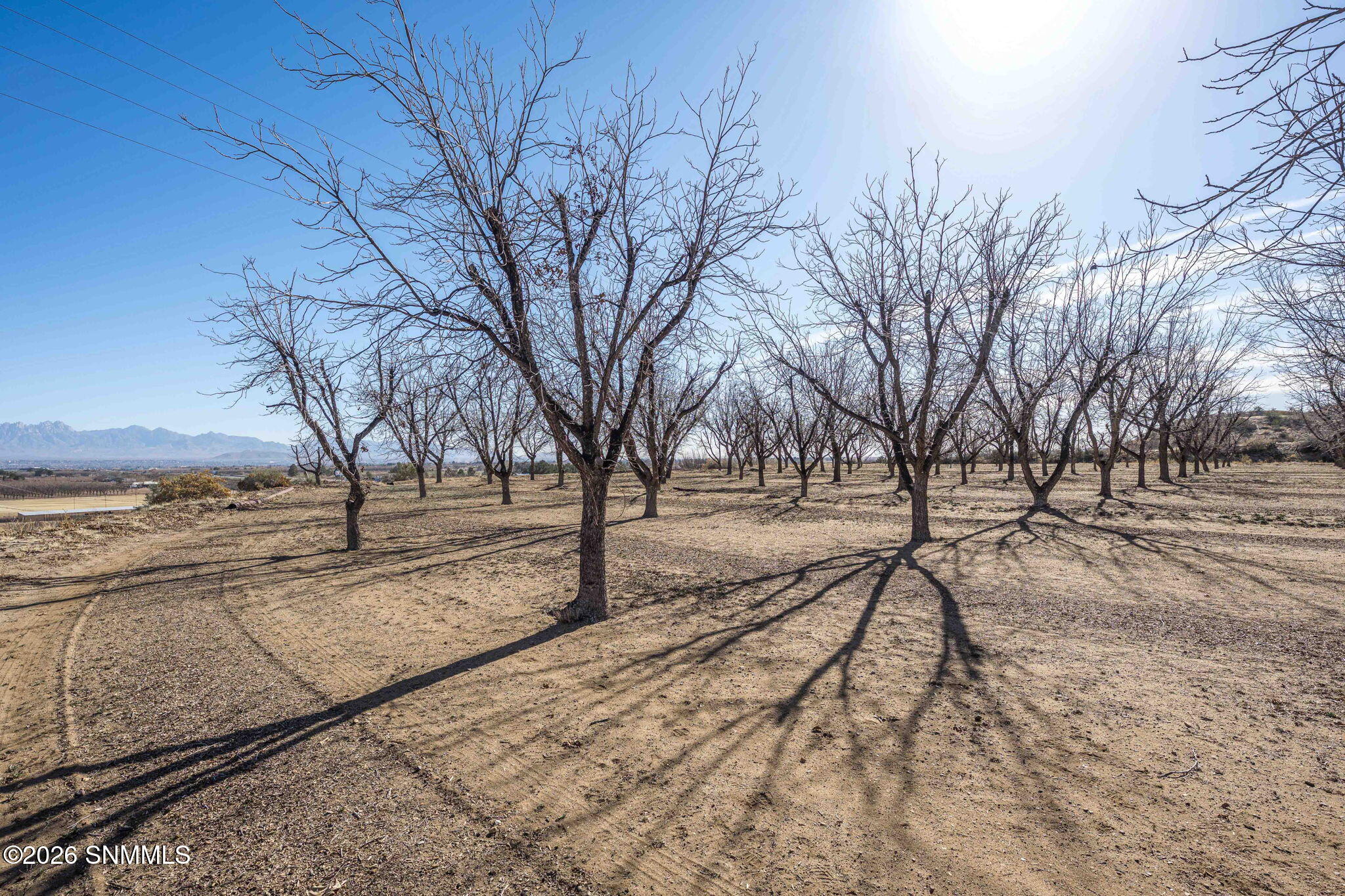 35-web-or-mls-Snappin Homes (Squirrel201