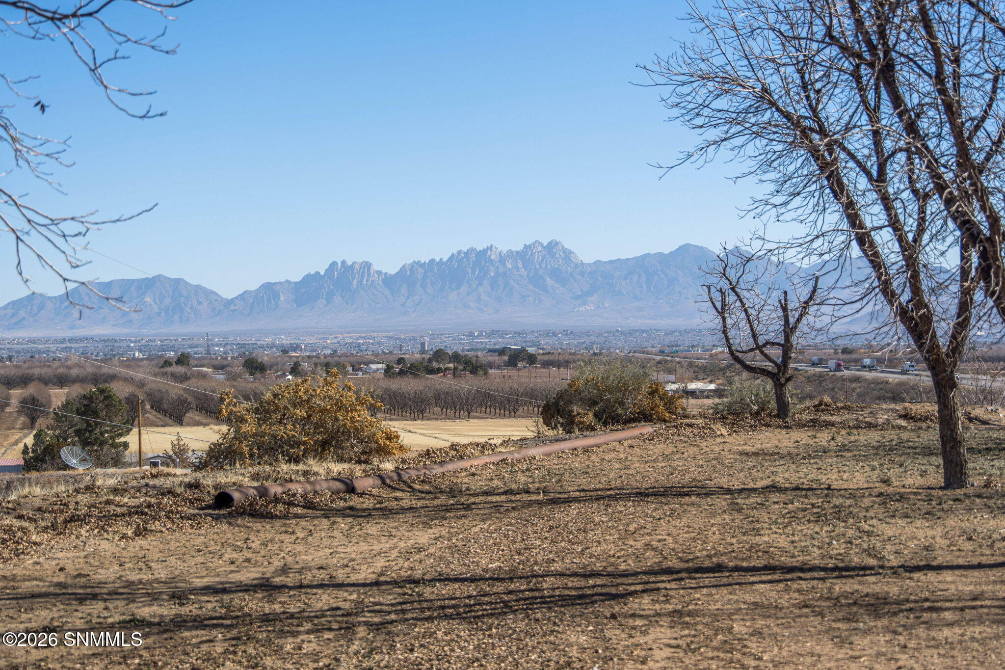 36-web-or-mls-Snappin Homes (Squirrel201