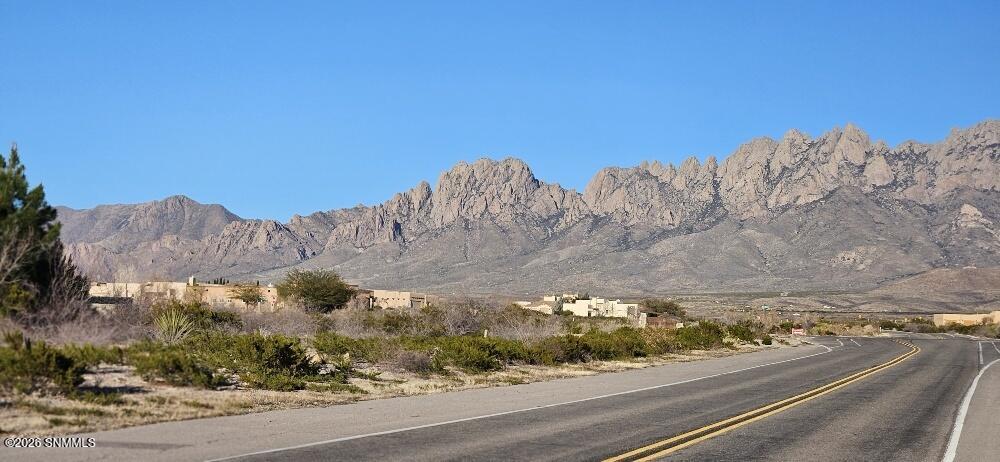 20260214_164729_resized