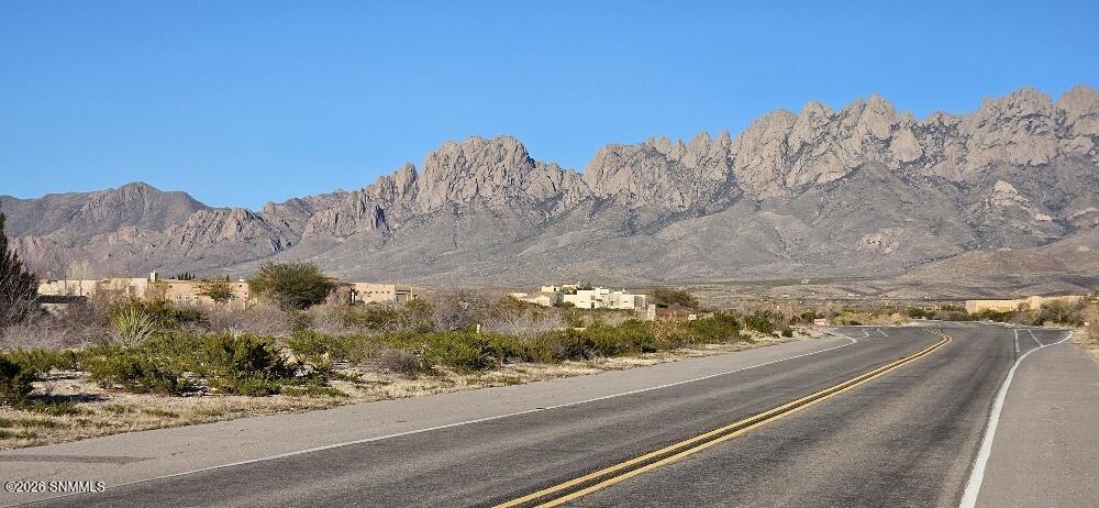 20260214_164739_resized