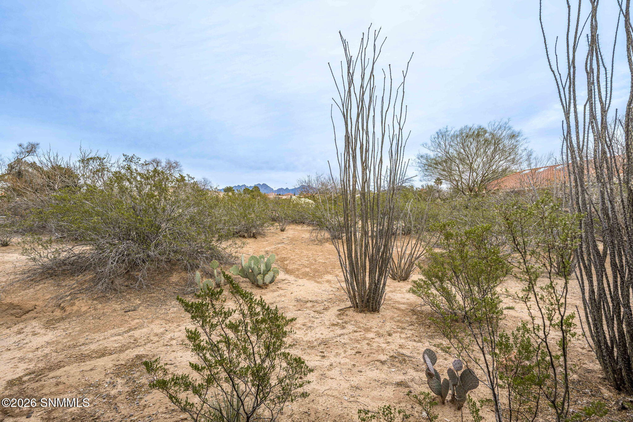 49-web-or-mls-Snappin Homes (Diamondback