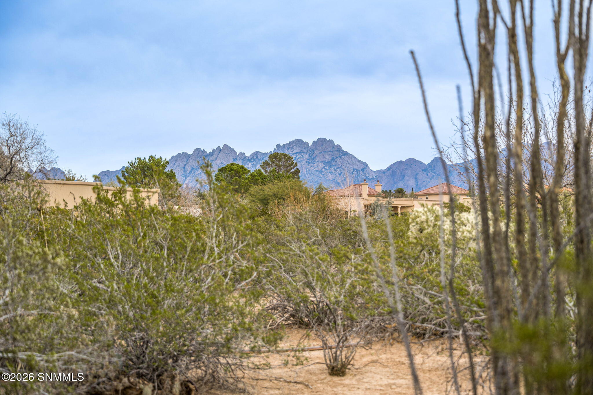 50-web-or-mls-Snappin Homes (Diamondback