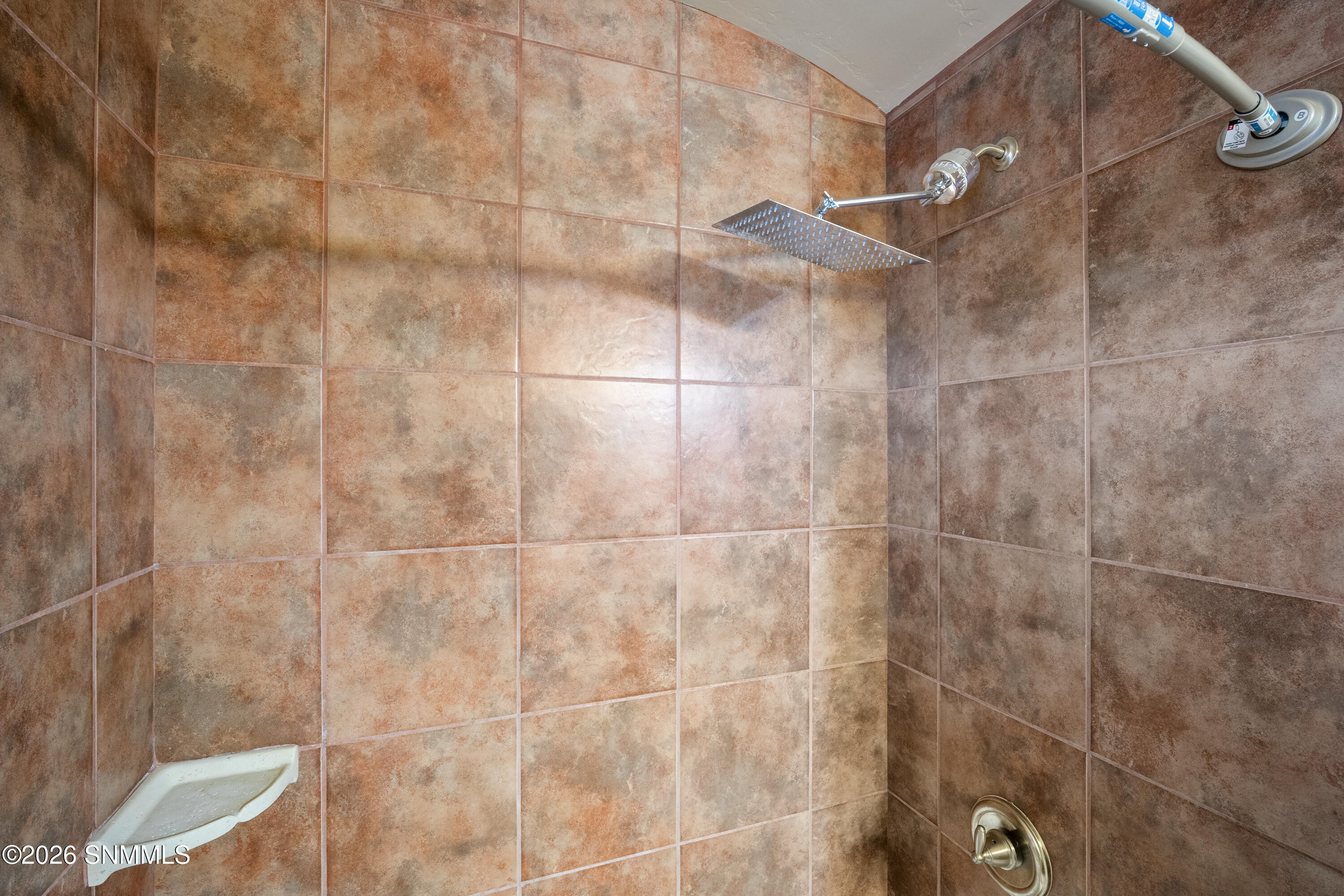 4211-Harp-MLS-Camera-Guy-33