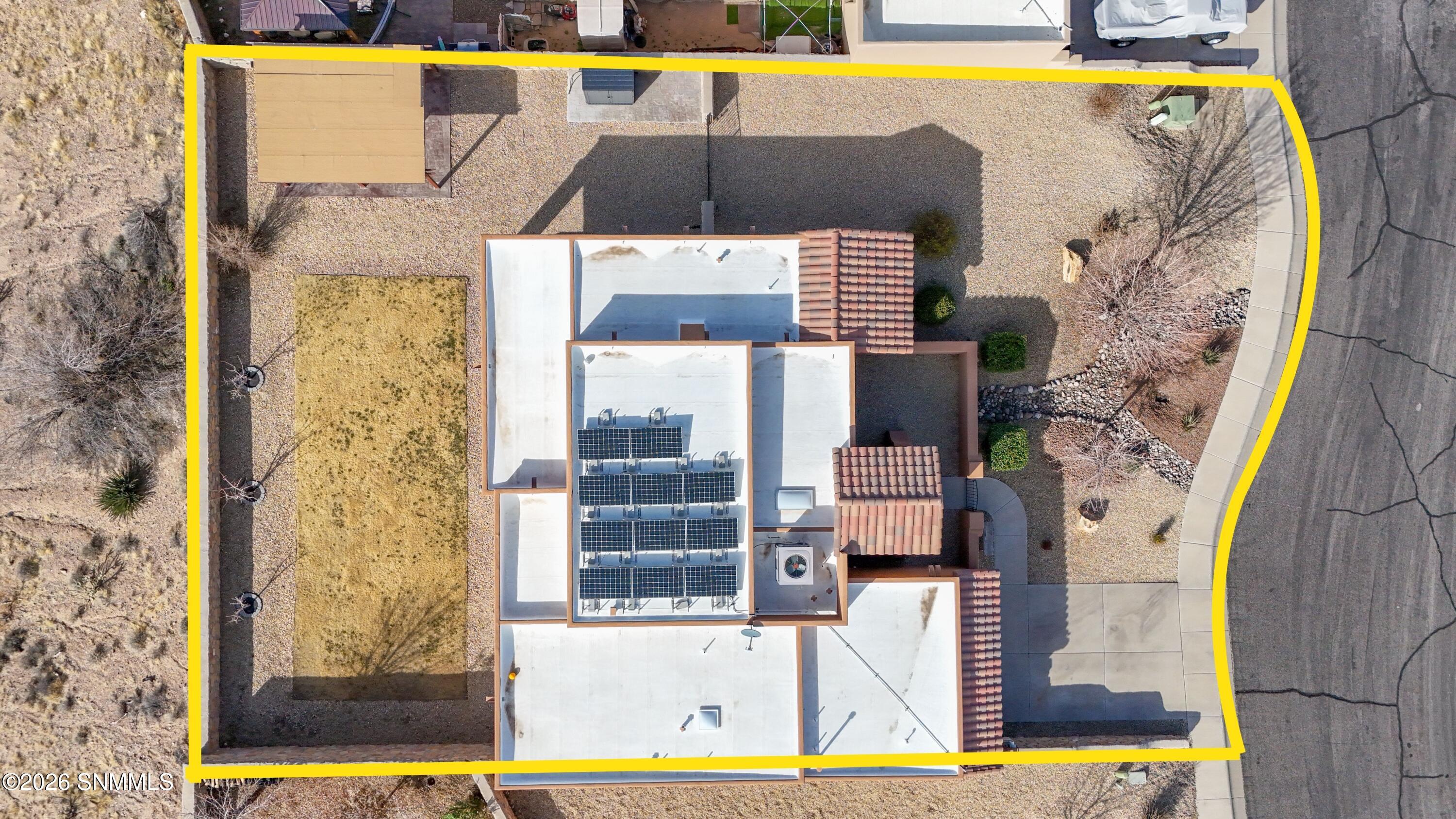 Photo Feb 17 2026, 6 32 10 PM (1)