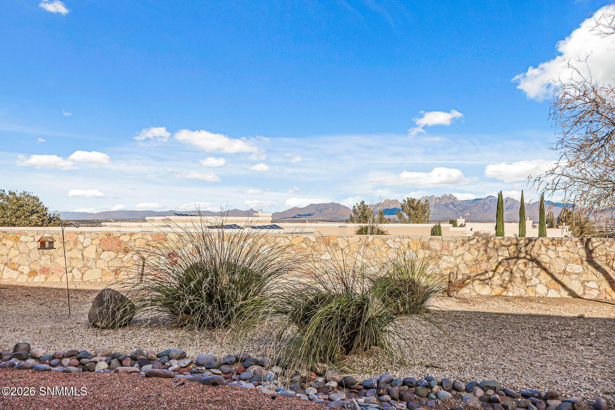 49-web-or-mls-IMG_7984