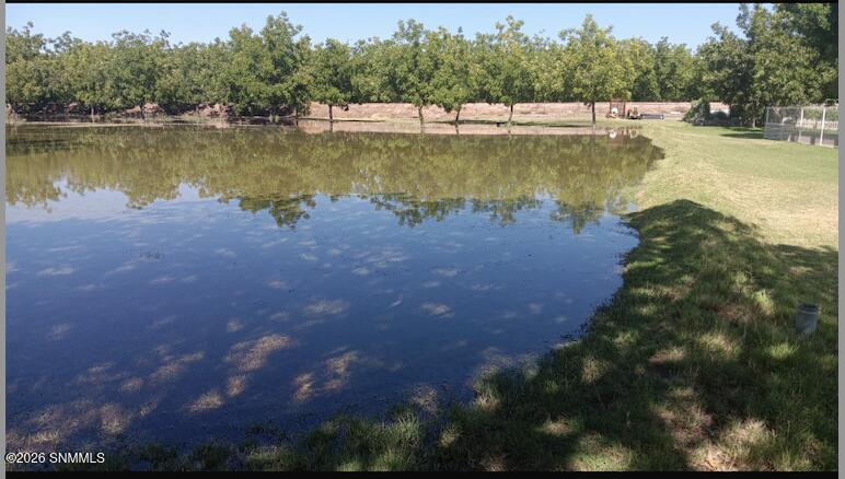 Screenshot 2026-02-19 at 1.05.21PM