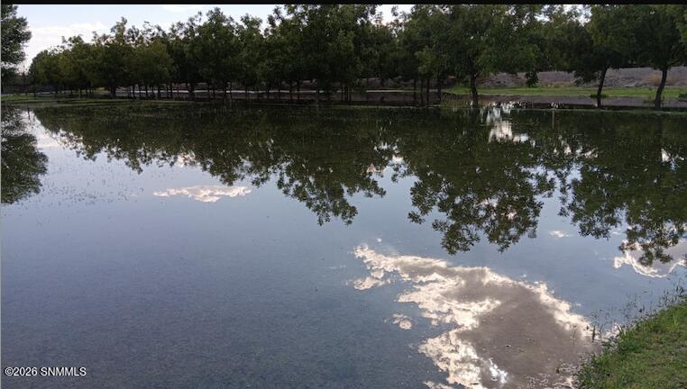 Screenshot 2026-02-19 at 1.06.17PM