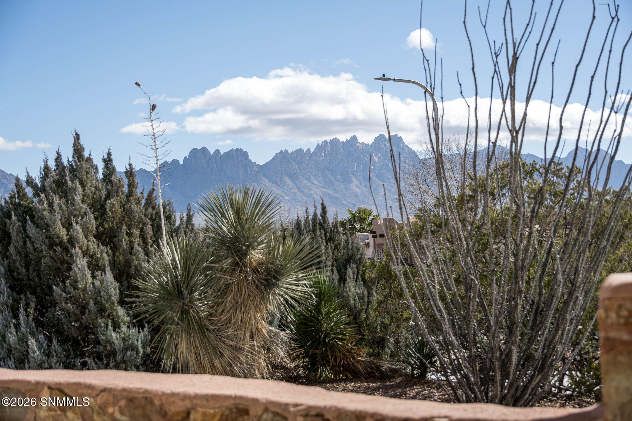 6-web-or-mls-Snappin Homes (Salvia4250)-