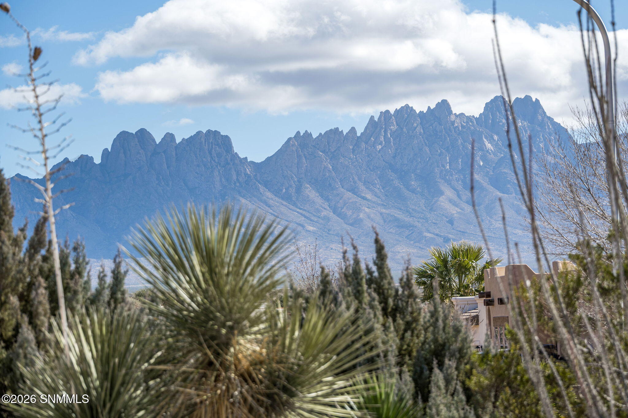 7-web-or-mls-Snappin Homes (Salvia4250)-