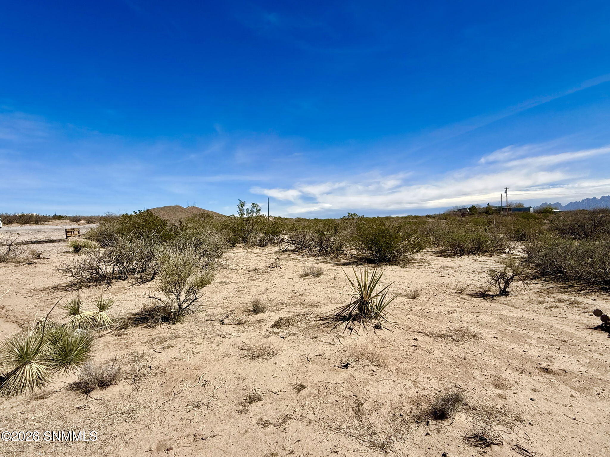 29-web-or-mls-IMG_8634