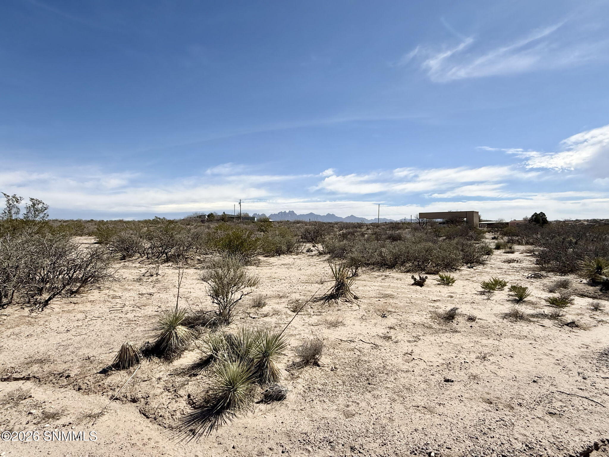 31-web-or-mls-IMG_8632