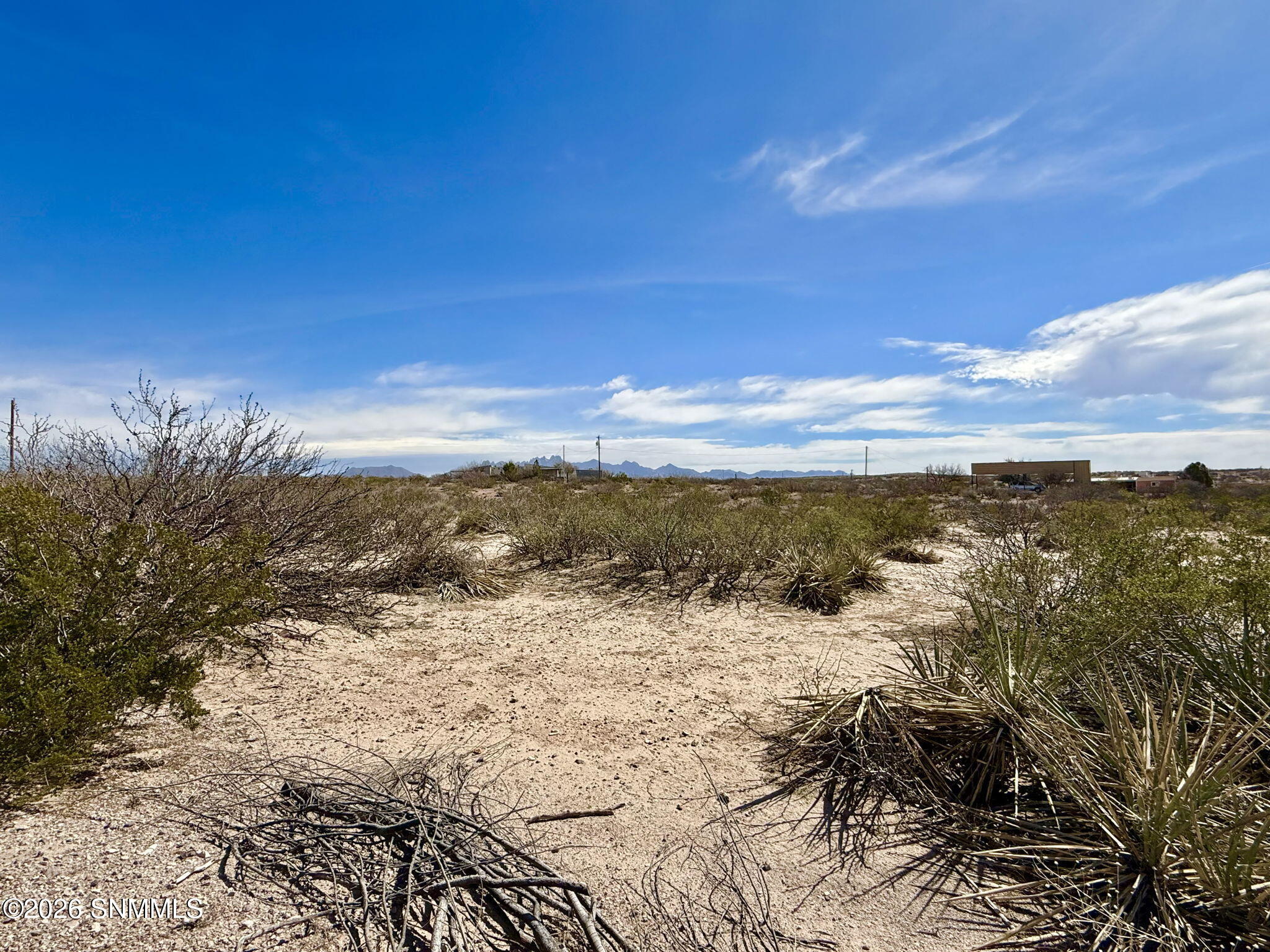 34-web-or-mls-IMG_8629