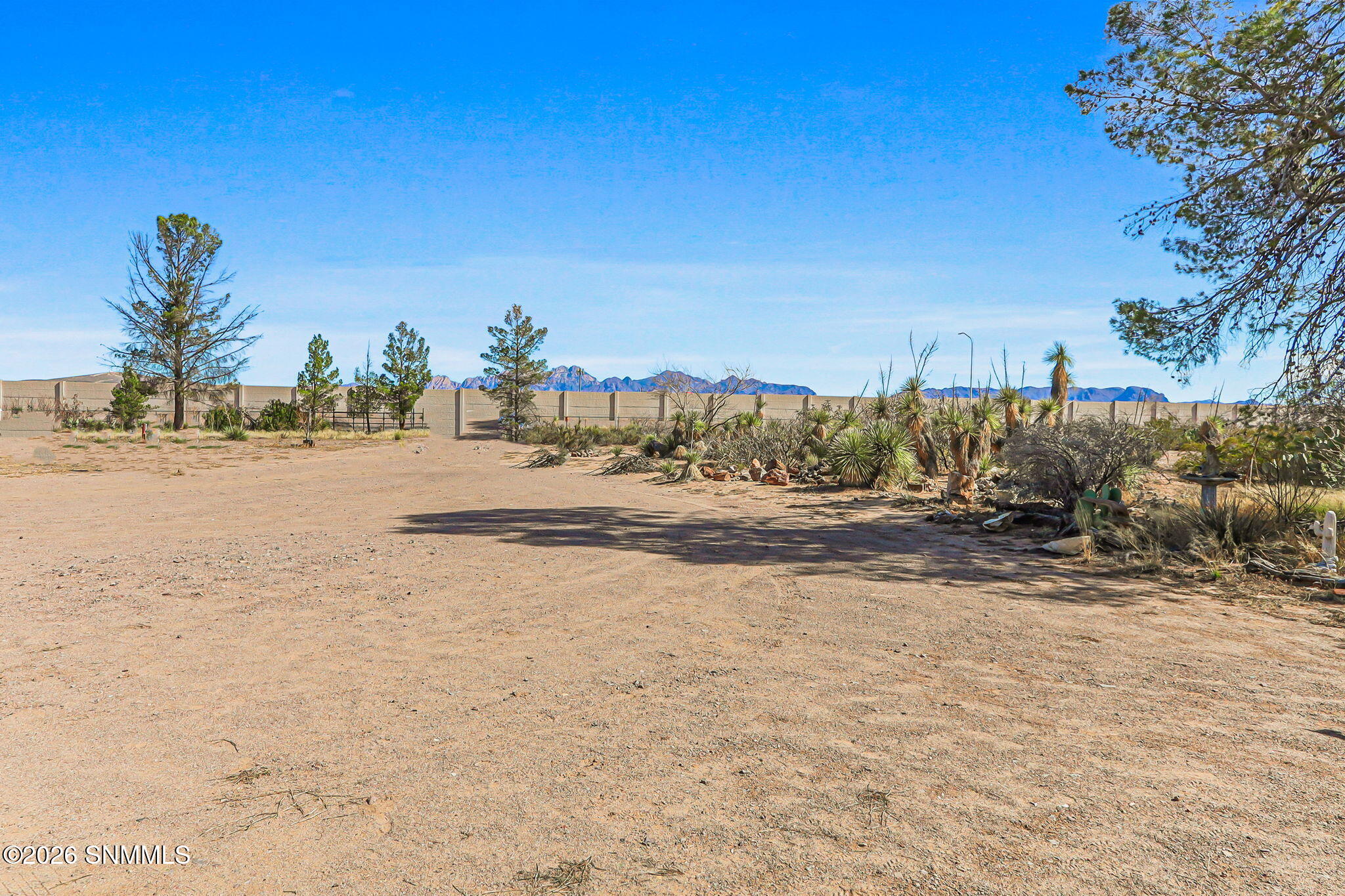 7-web-or-mls-IMG_1818