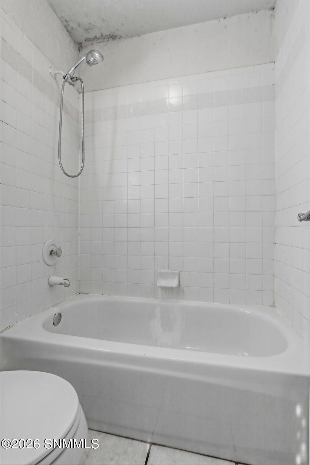 9-web-or-mls-IMG_9673