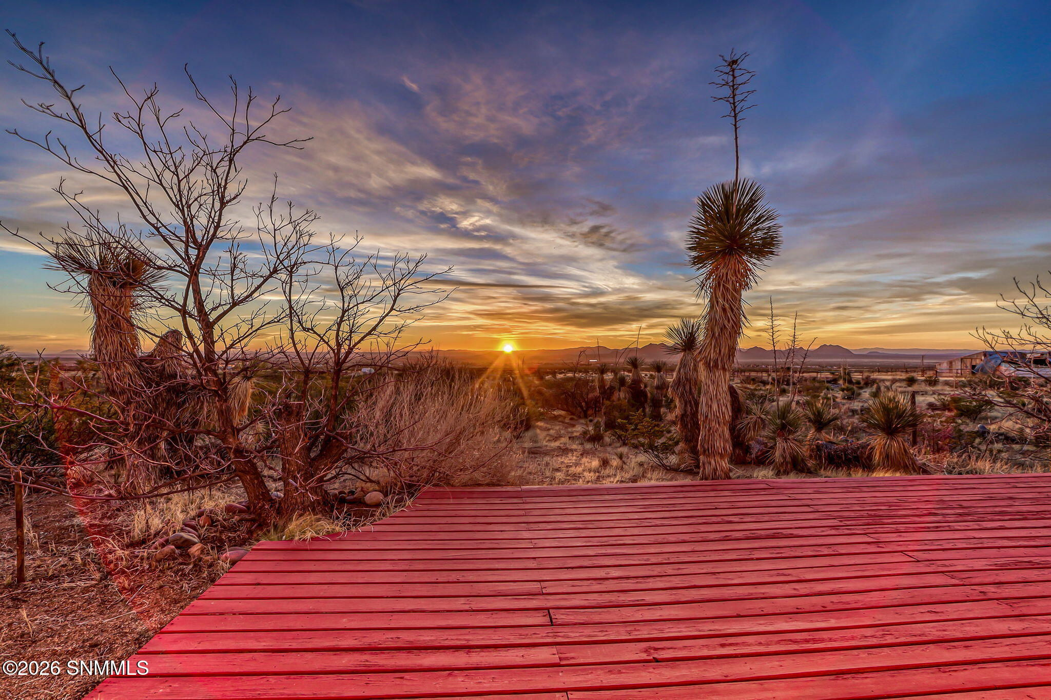 8-web-or-mls-IMG_0491