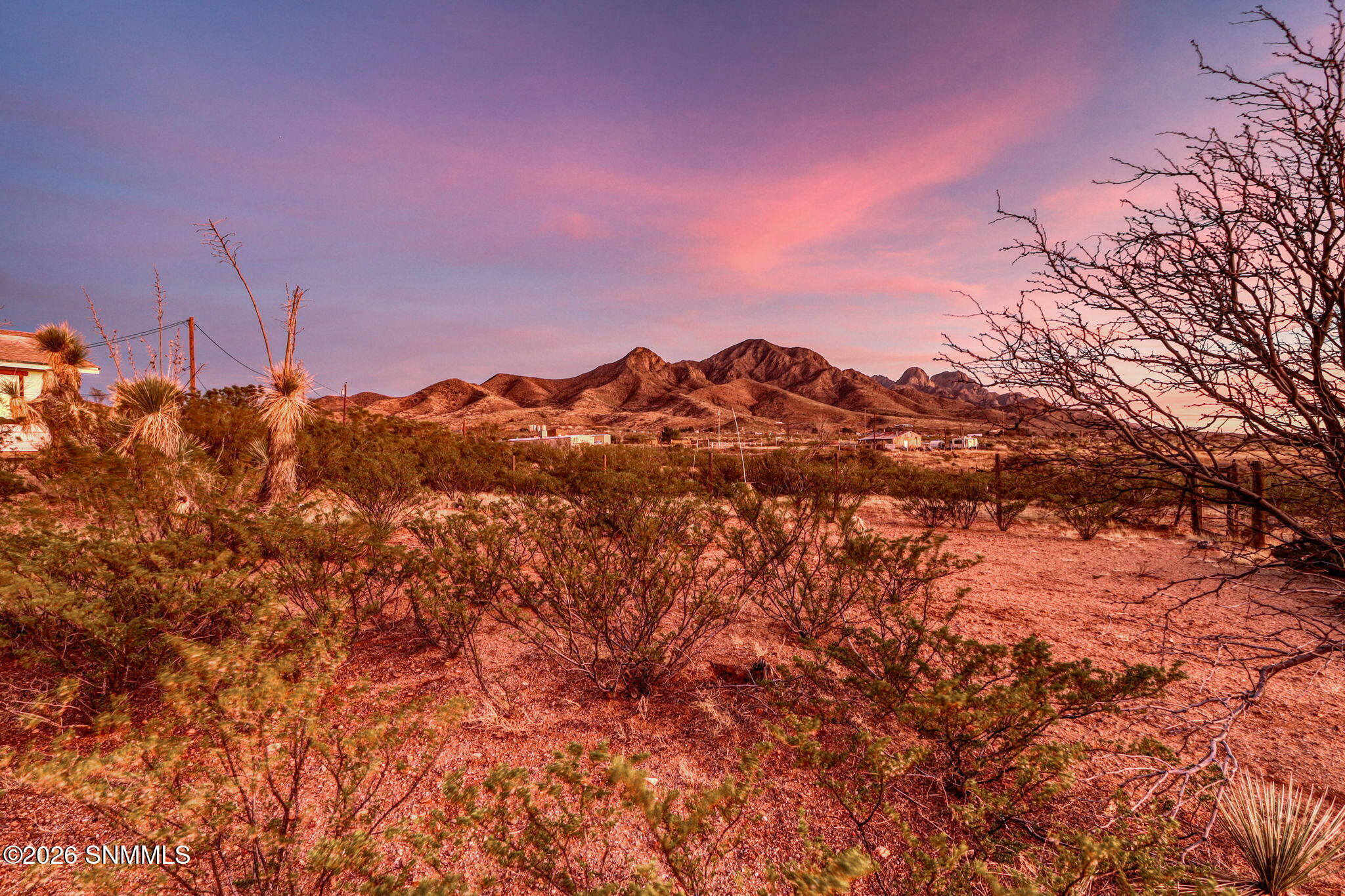 29-web-or-mls-IMG_0736