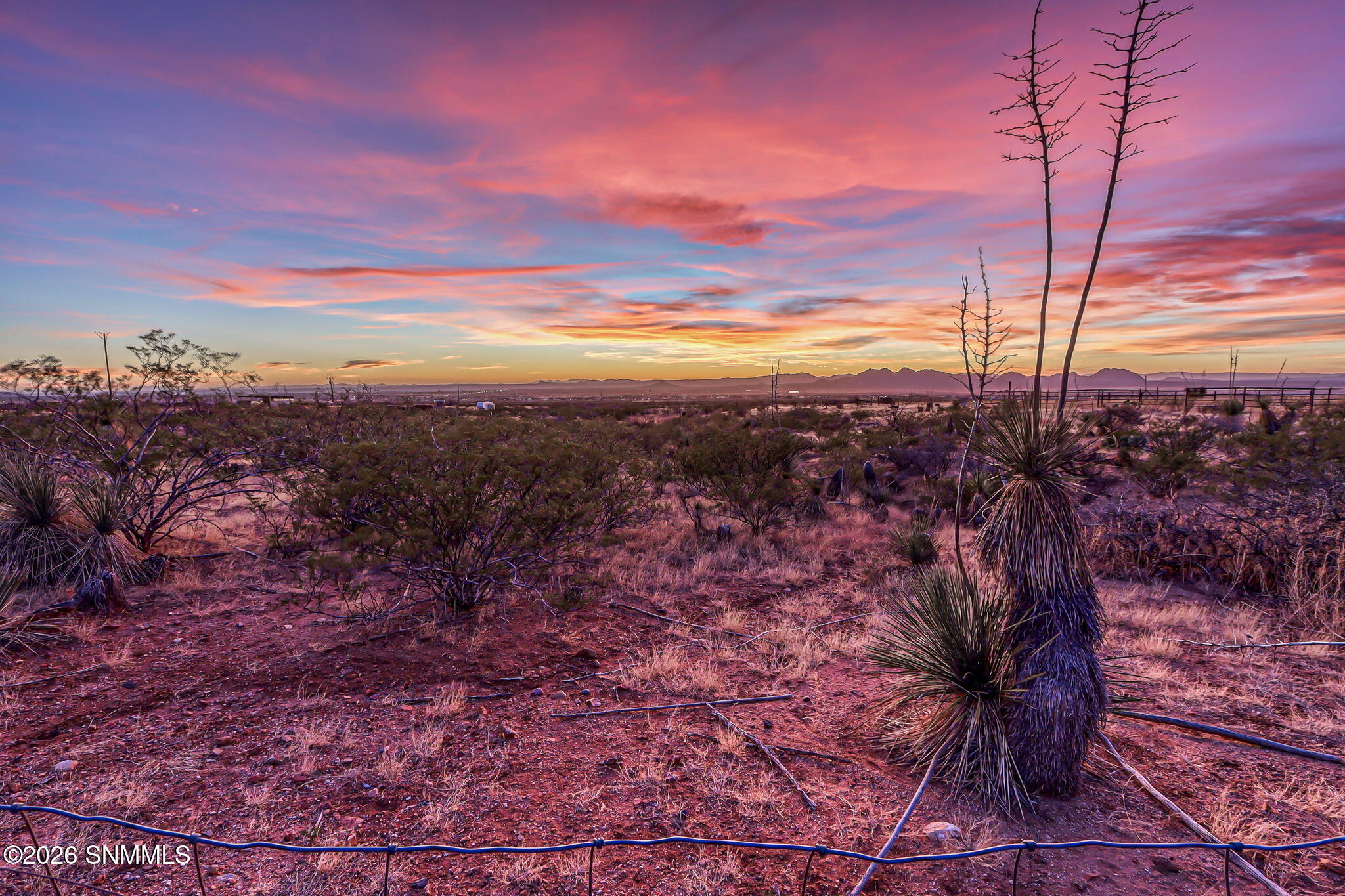 30-web-or-mls-IMG_0743