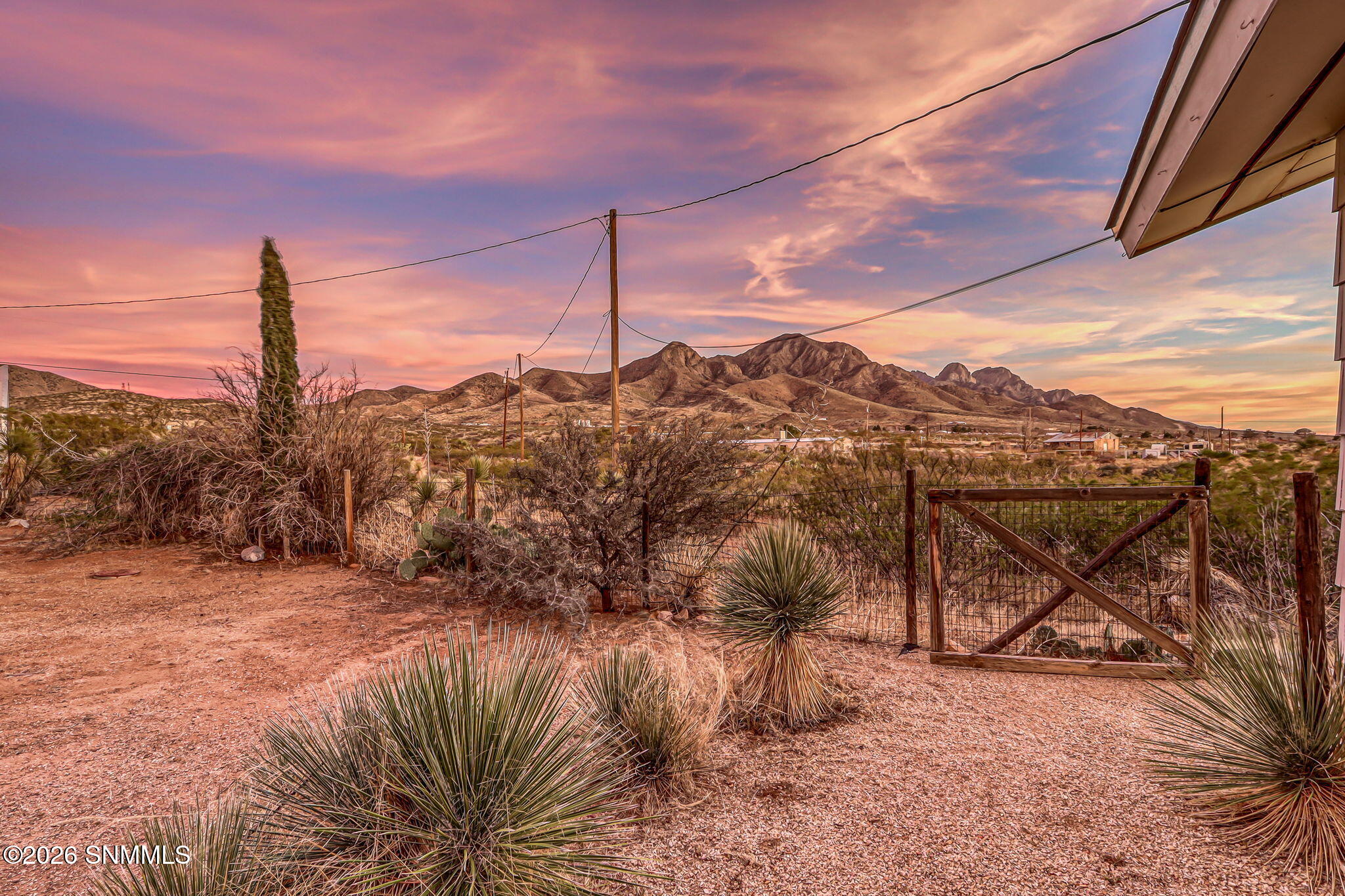 13-web-or-mls-IMG_0617