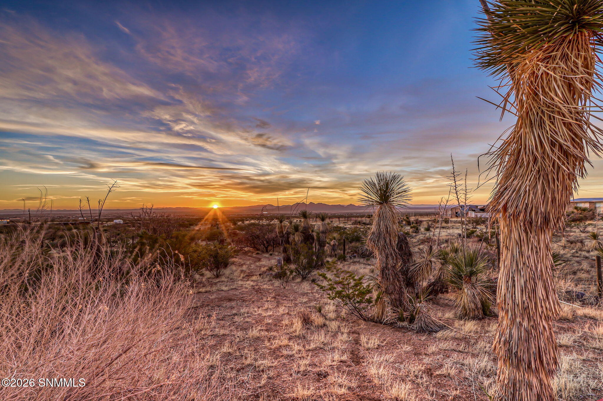 11-web-or-mls-IMG_0519