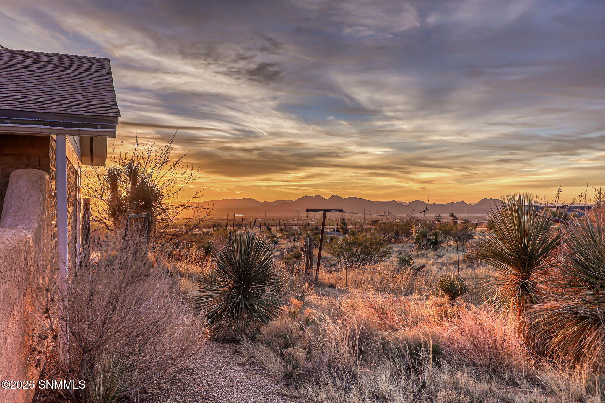 5-web-or-mls-IMG_0470