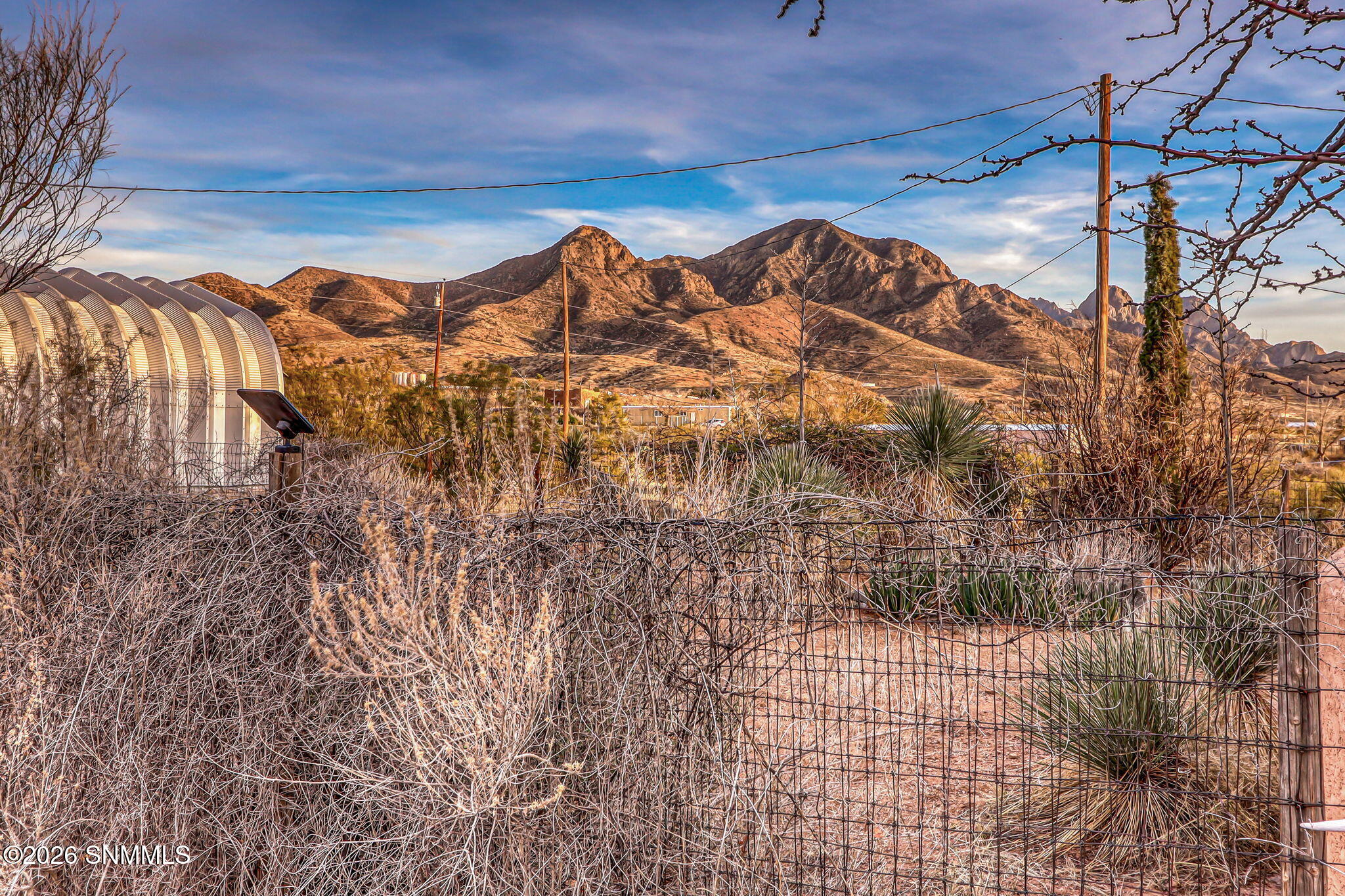 2-web-or-mls-IMG_0449