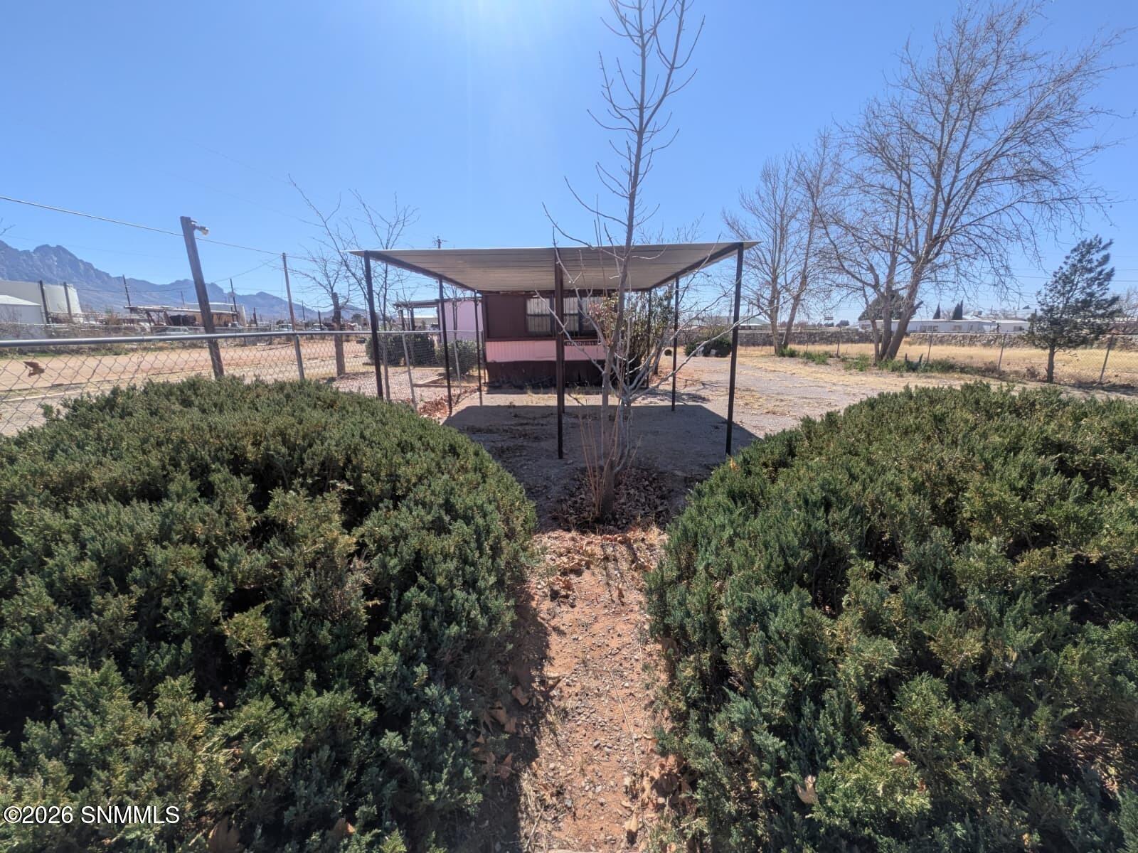 WhatsApp Image 2026-03-02 at 4.11.35 PM