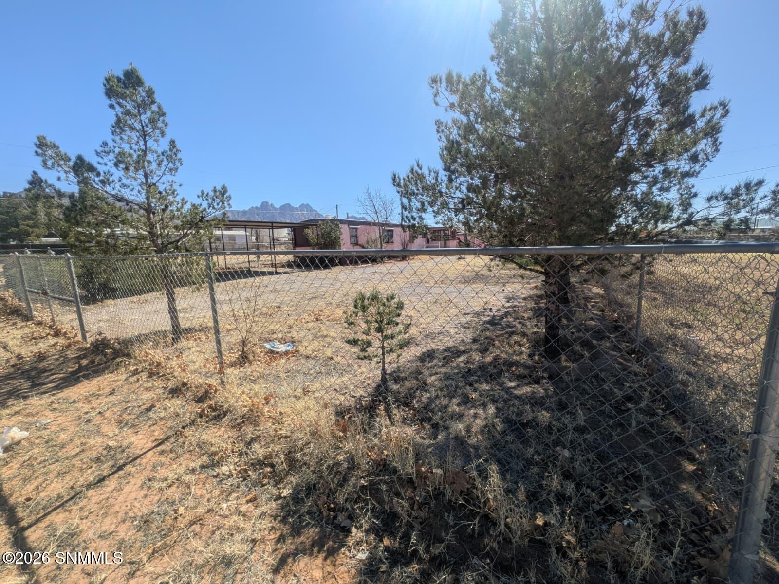 WhatsApp Image 2026-03-02 at 4.11.34 PM