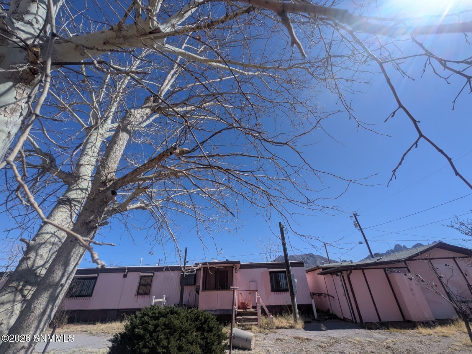 WhatsApp Image 2026-03-02 at 4.11.34 PM