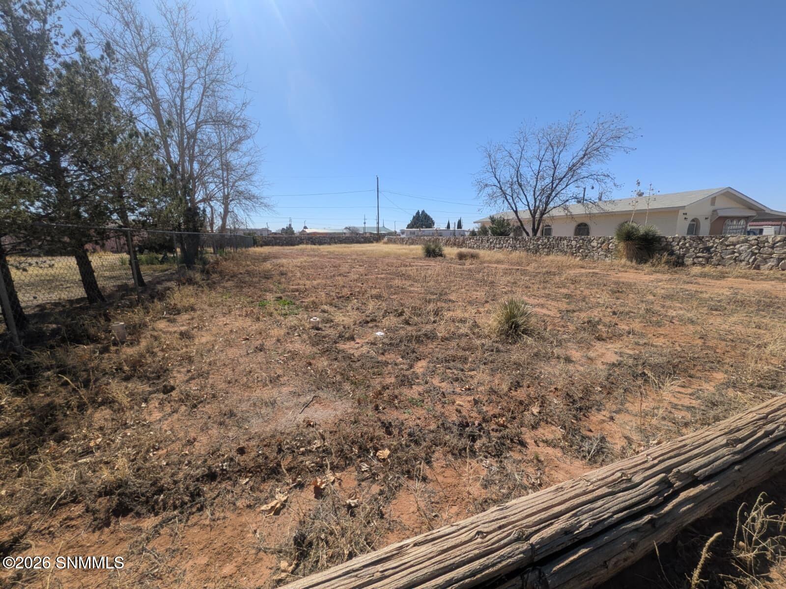 WhatsApp Image 2026-03-02 at 4.11.30 PM