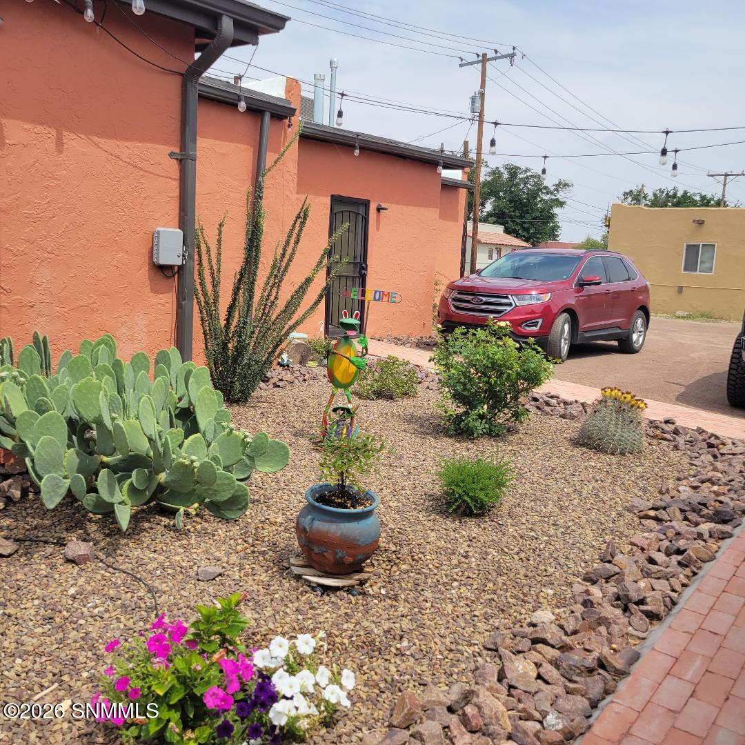 san pedro back patio