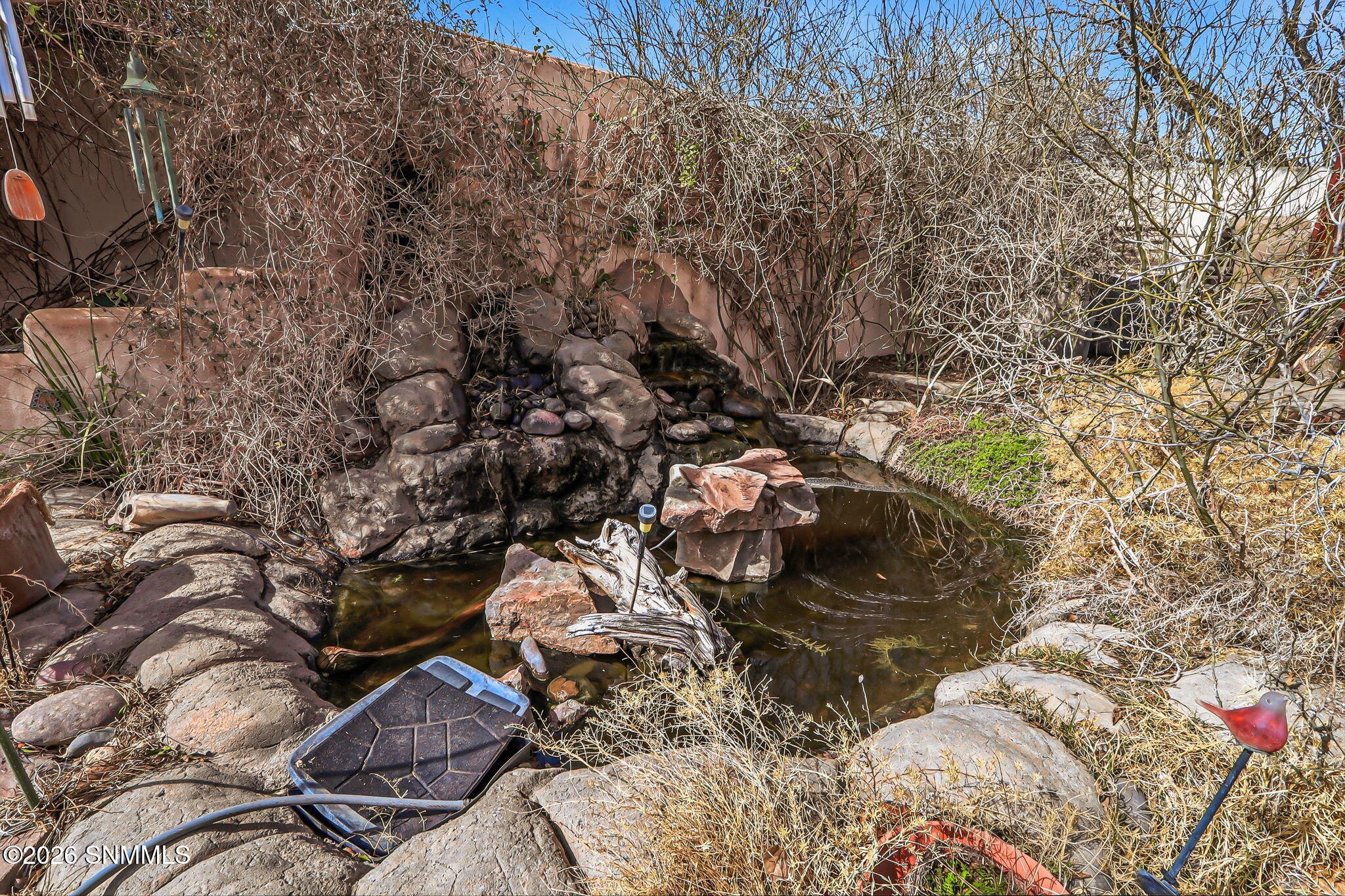 42-web-or-mls-IMG_9480