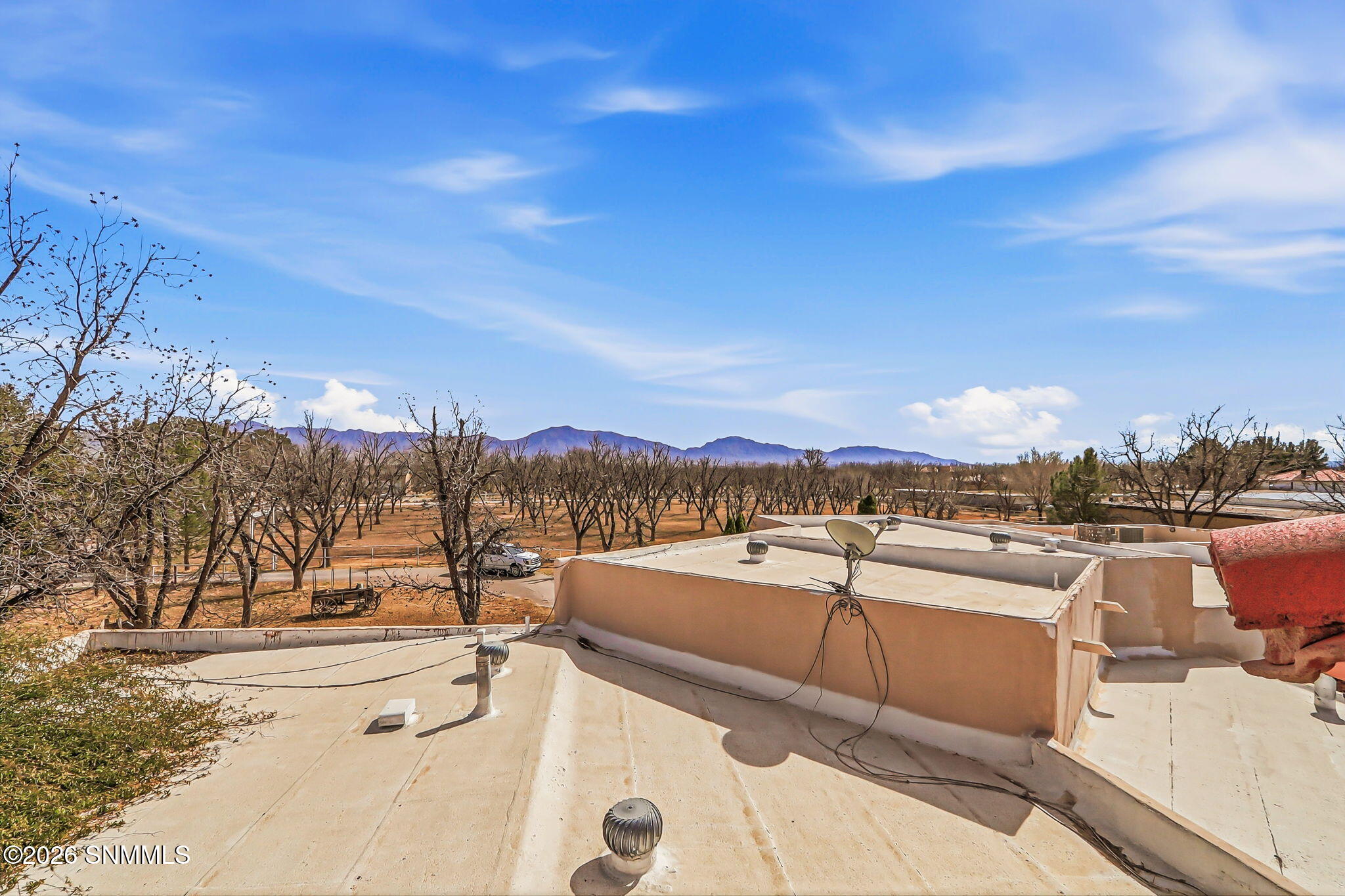 46-web-or-mls-IMG_9508